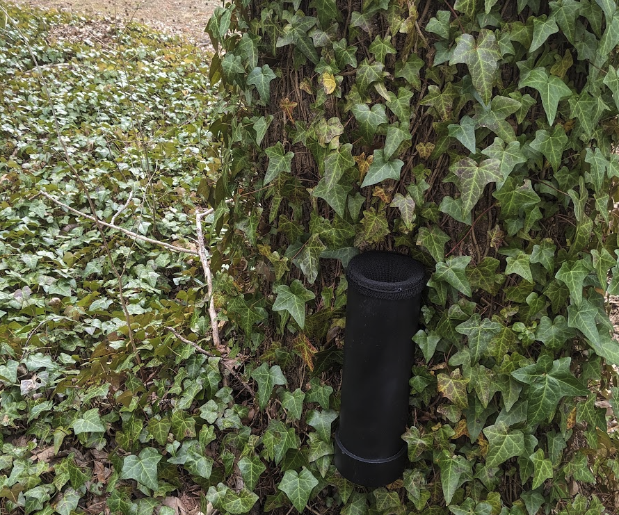 Ovitraps / Mosquito Traps for Container-breeding Aedes Mosquitos (asian Tiger, Eastern Tree Hole, Aedes Aegypti)