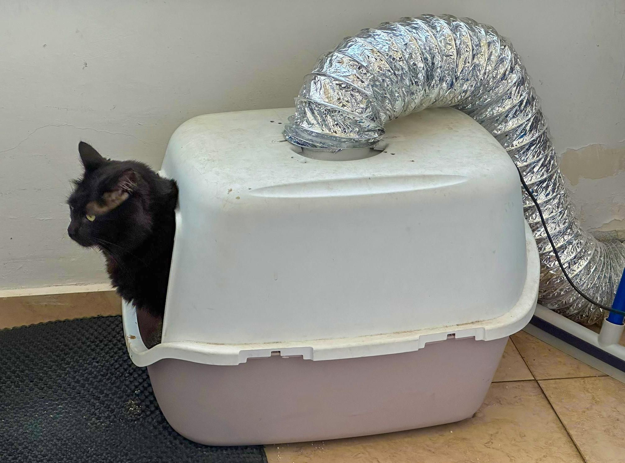 Exhaust Ventilation for a Cat Toilet