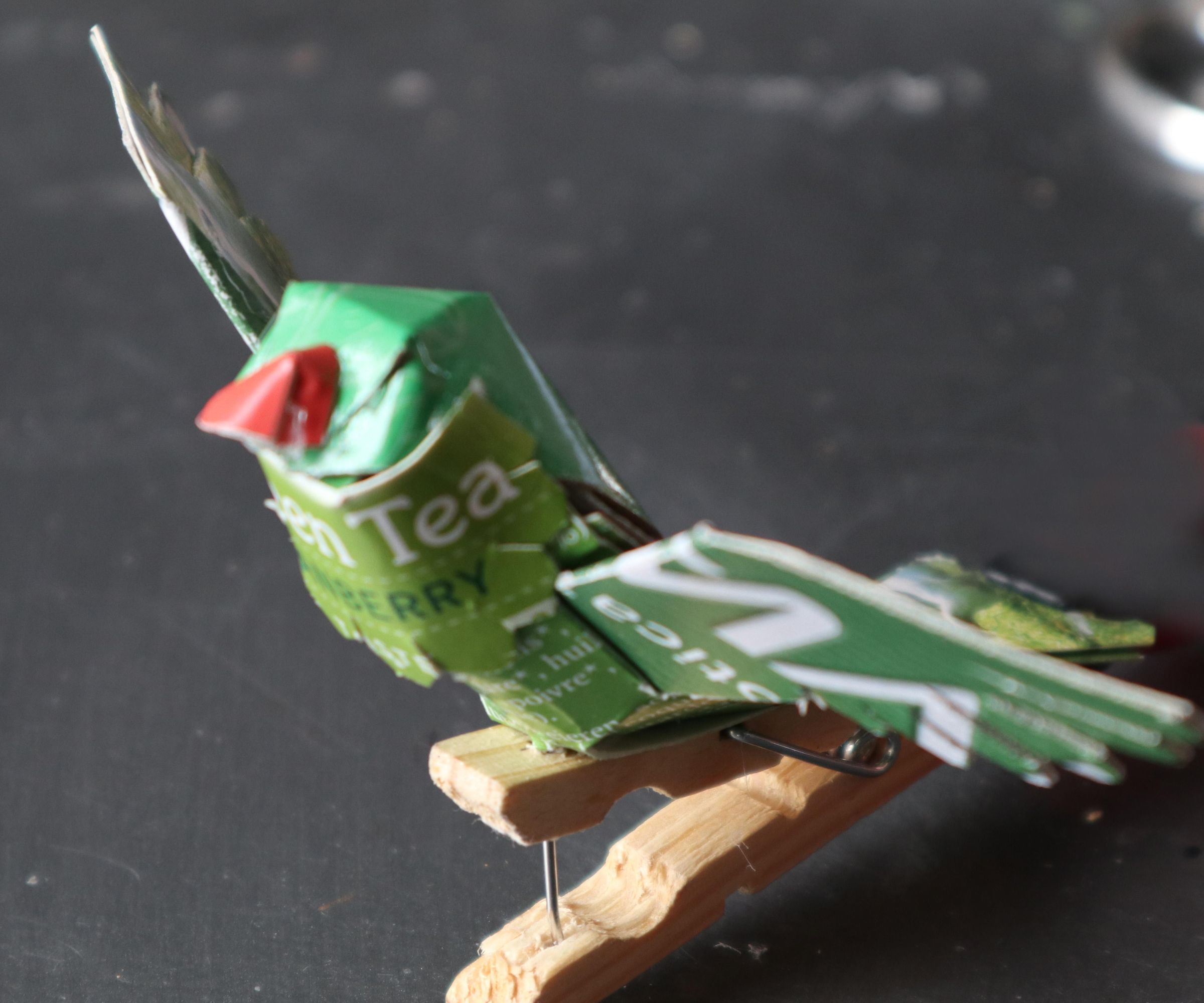 Little Green Peg Parrot