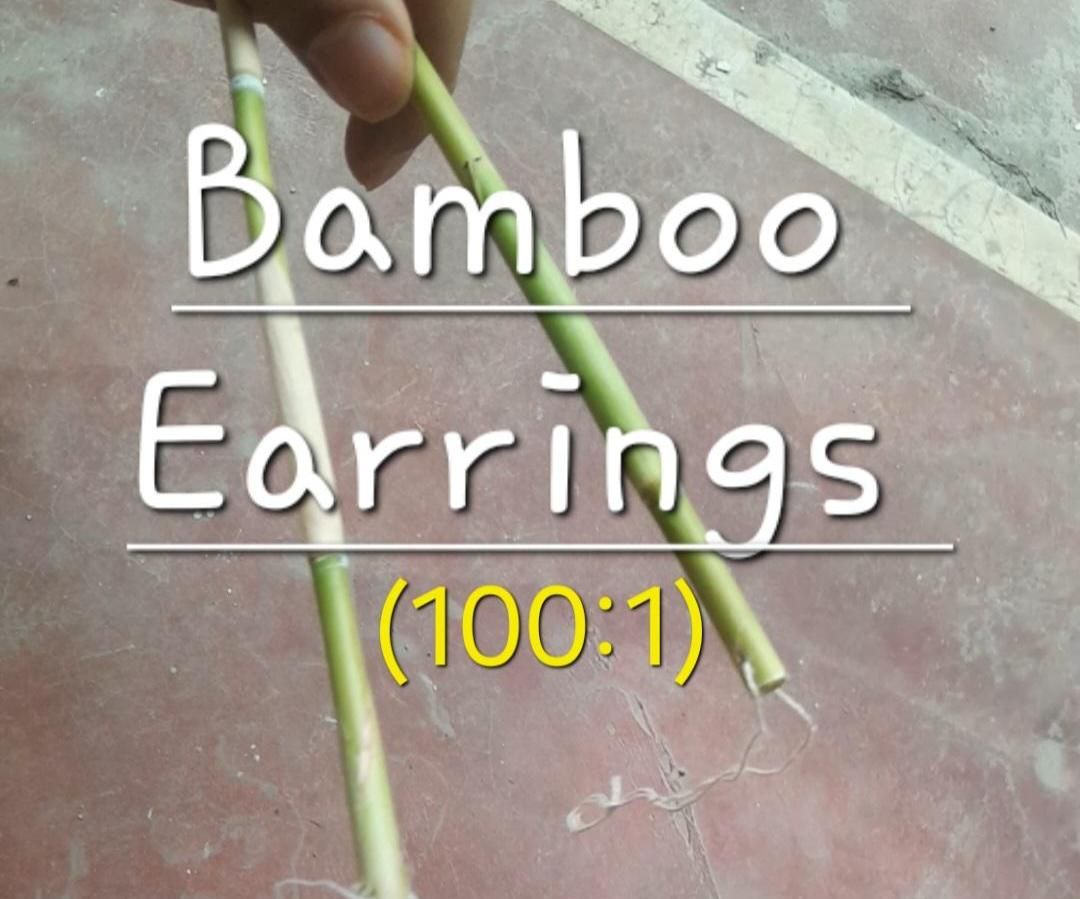Make Bamboo Earnings (100 Times Bigger)