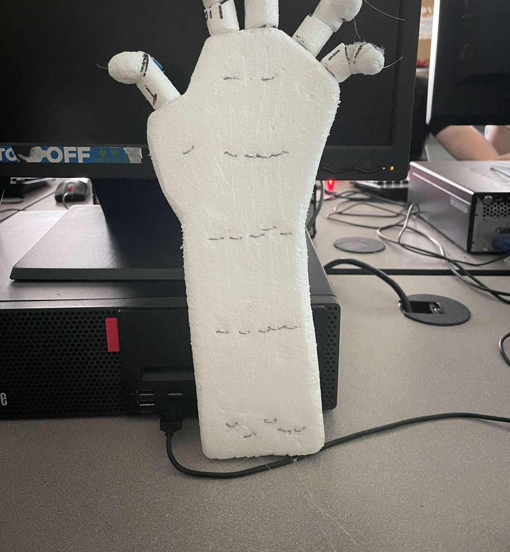 Robotic Hand
