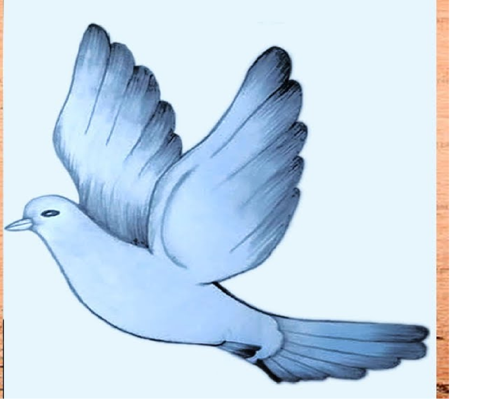 Drawing of a Bird