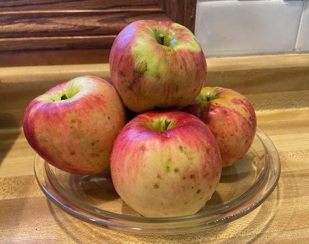 Frozen Apple Pie Filling
