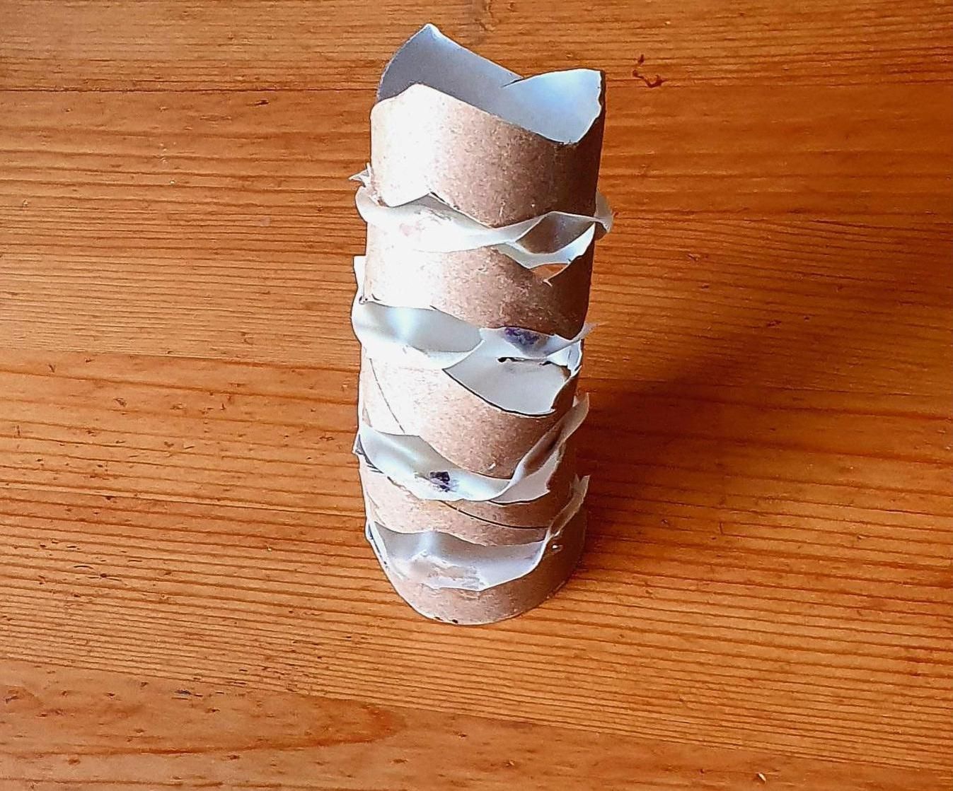 Tensegrity Back Bone Model