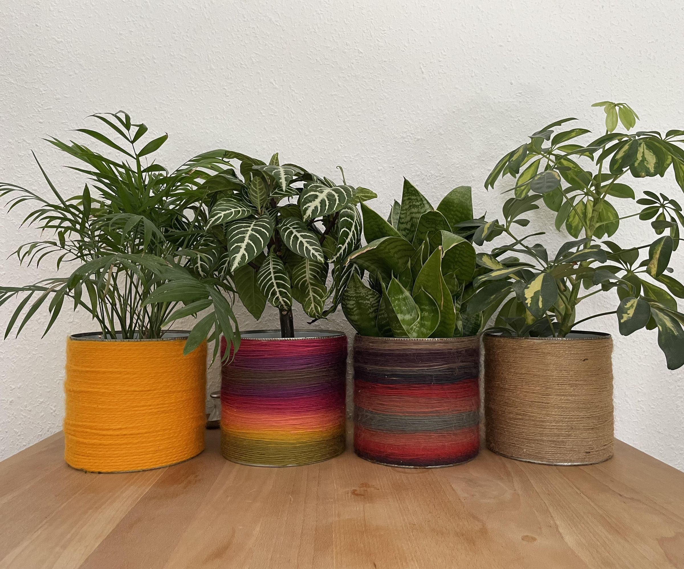 Wooly Pots - Easy Upcycling Project to Turn Tin Cans Into Beautiful Flower Pots!
