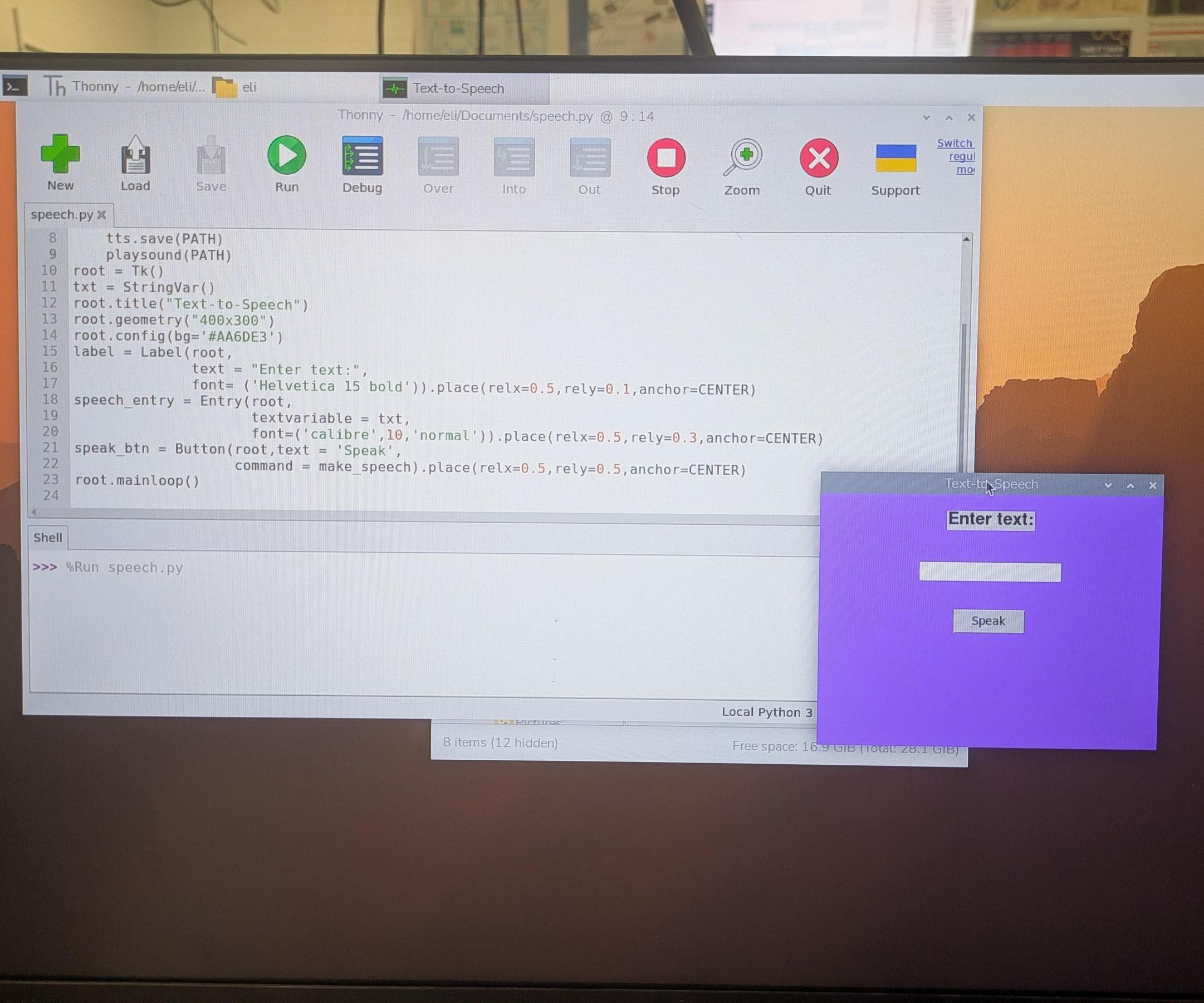 Text-to-Speech Program Using Python