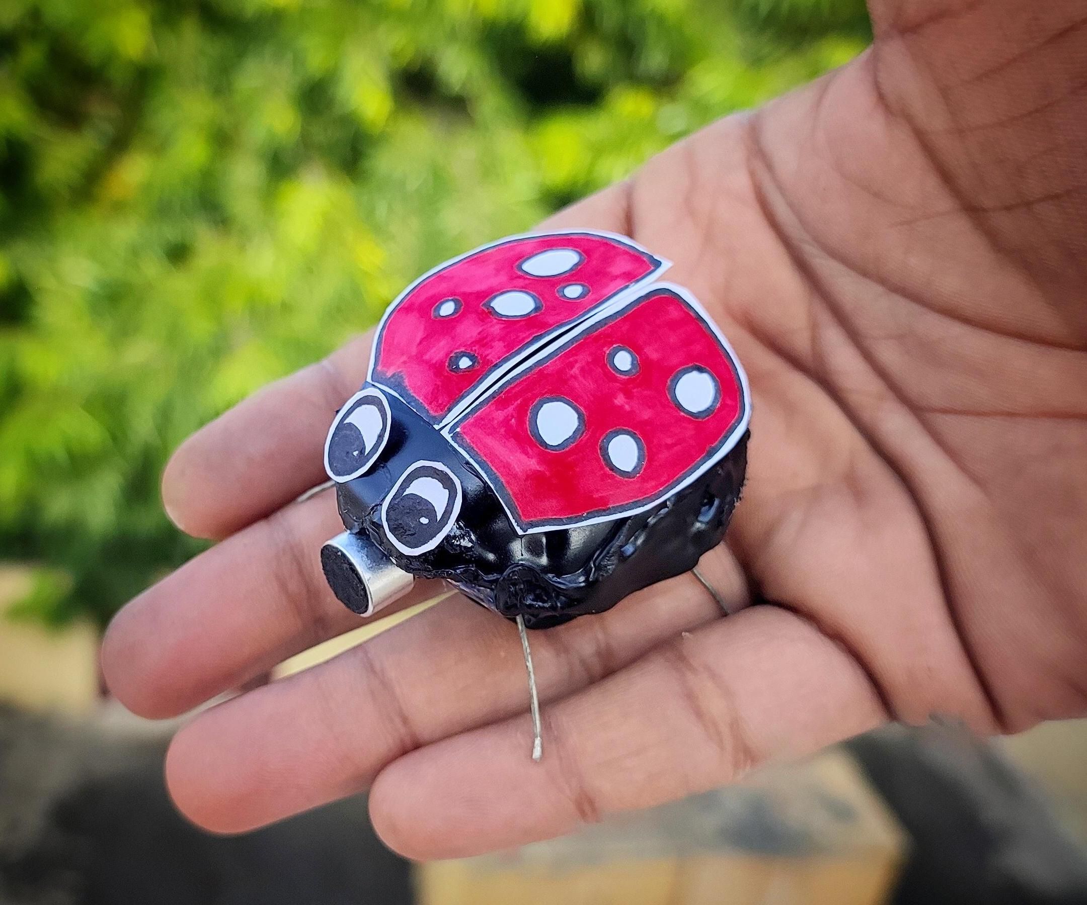 Stone Bug Controlled With Sound