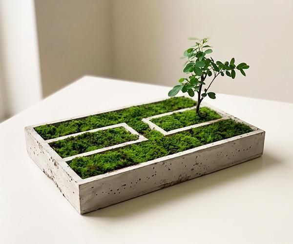 Zen-Style Concrete Courtyard Planter