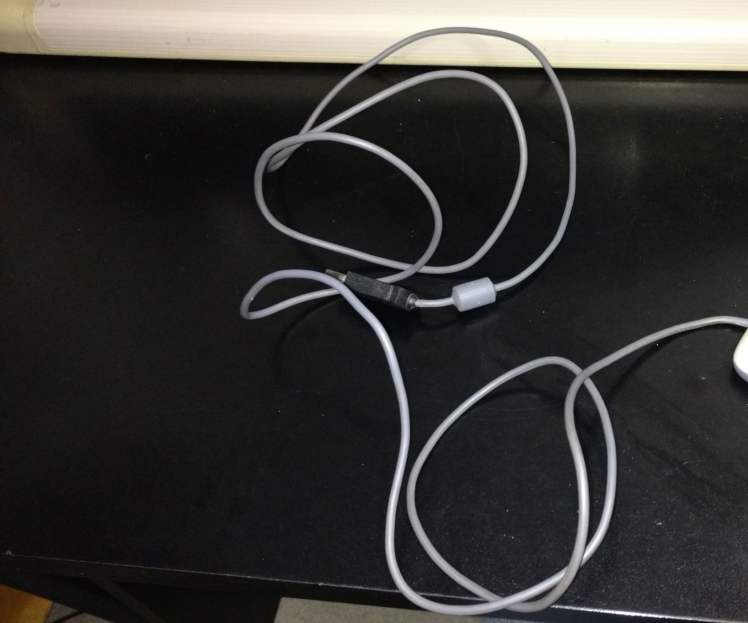 Shortening a Mouse's Tail