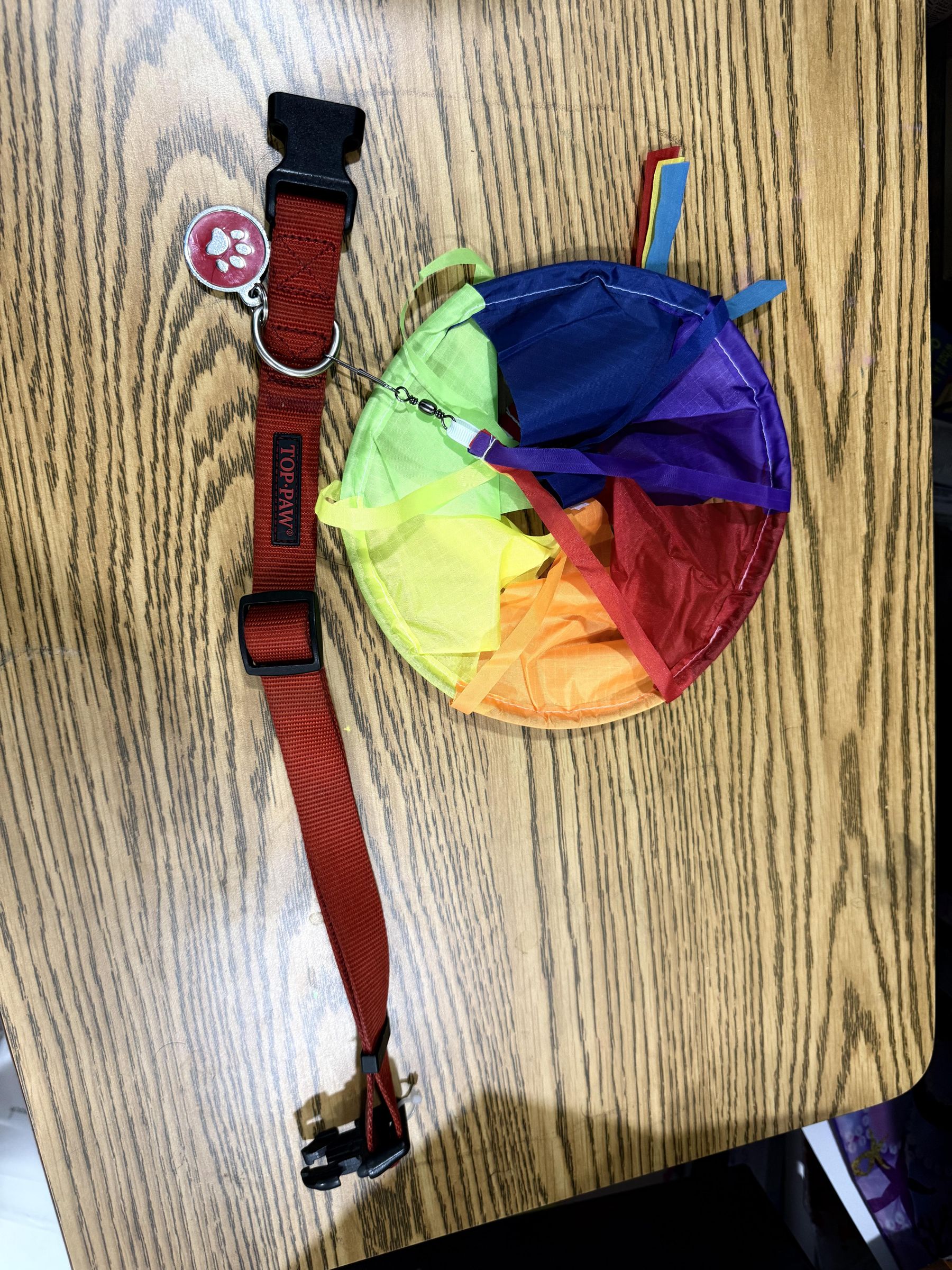 Chill Collar Project for 3D Young Innovators Project