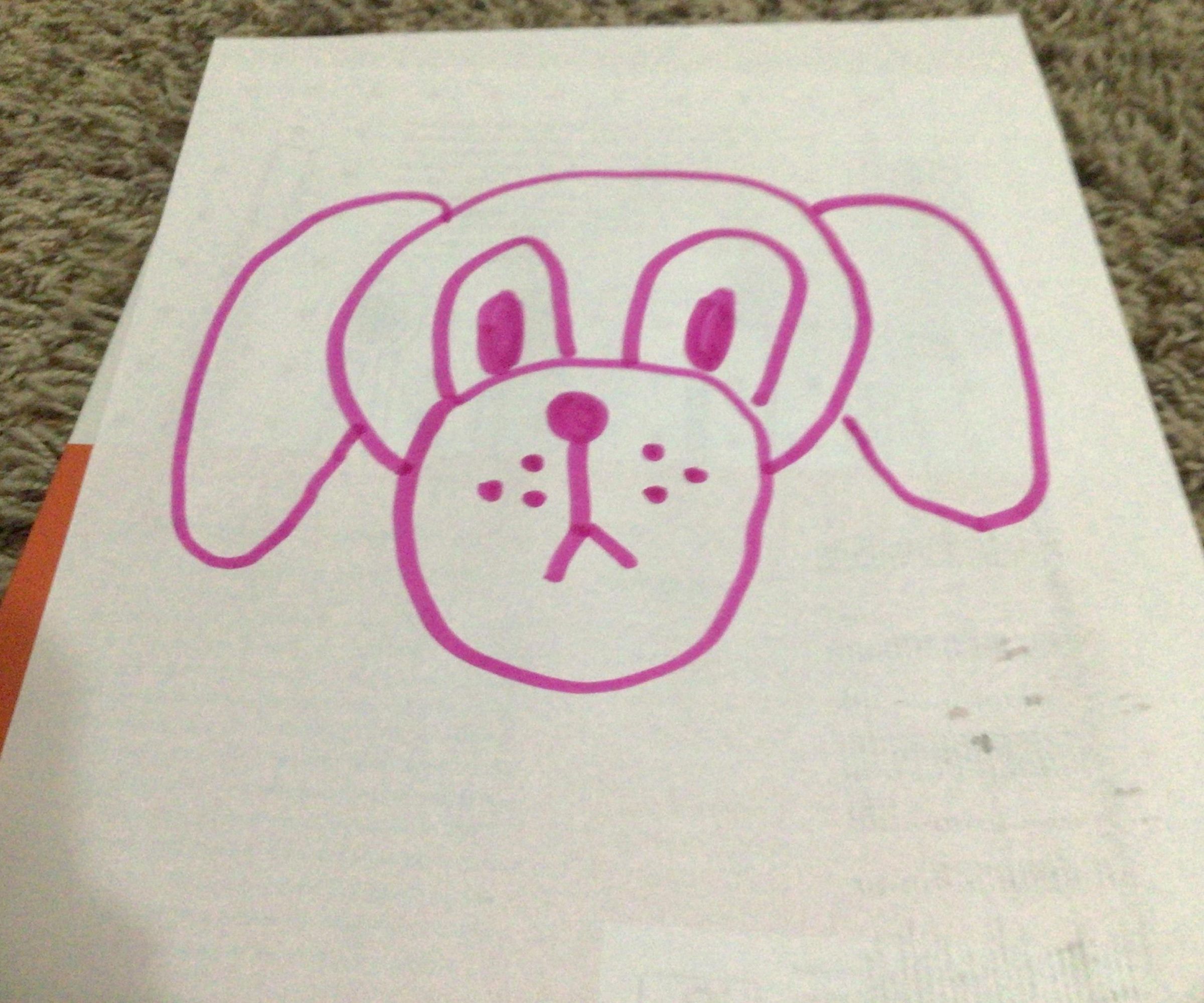 How to Draw a Dog Face