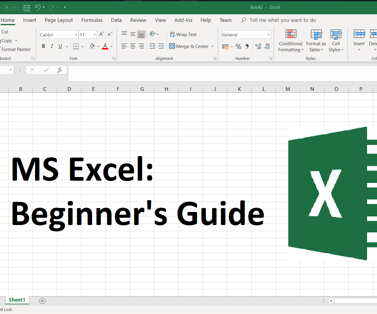 MS Excel: Beginner's Guide