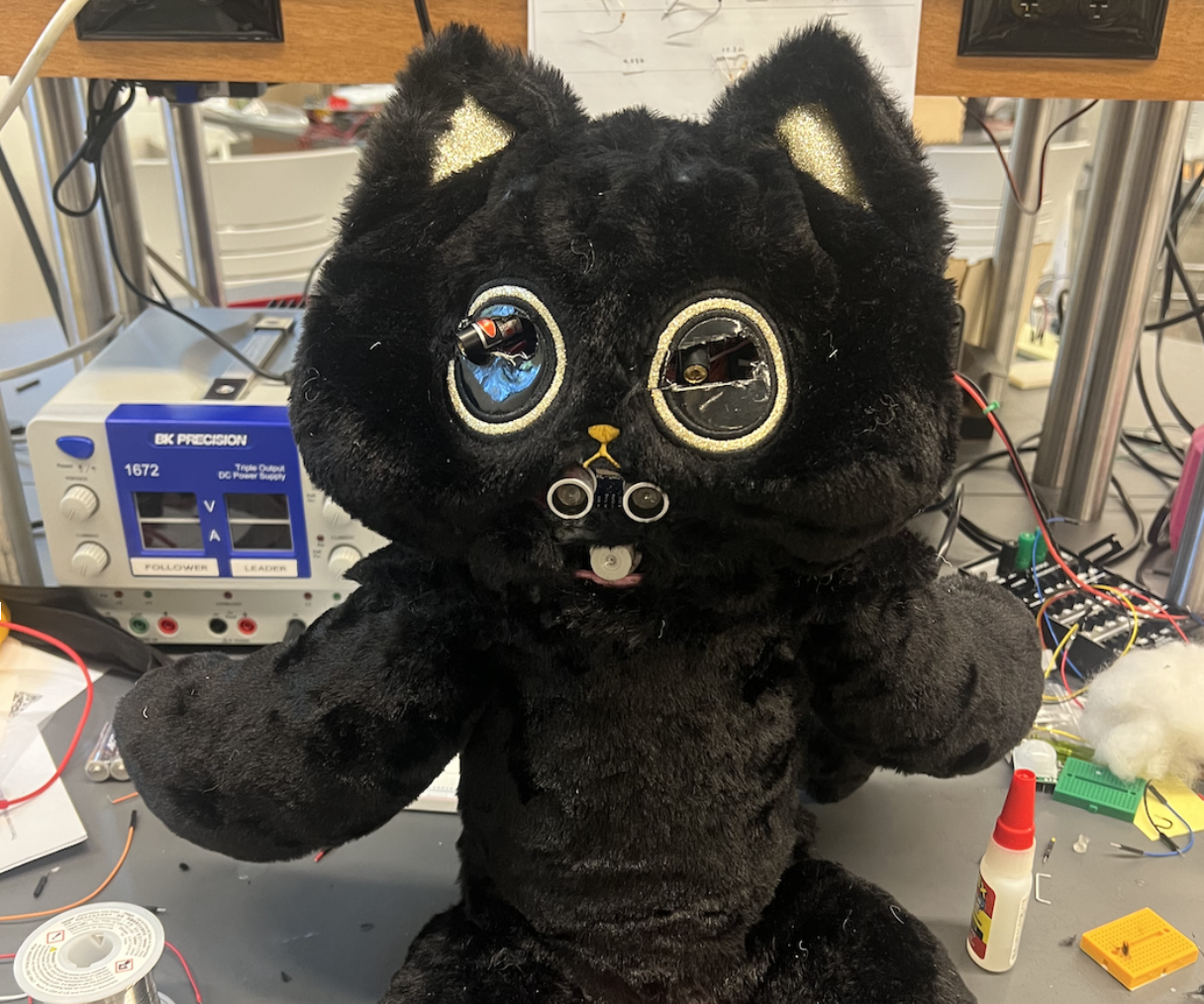 The Catinator