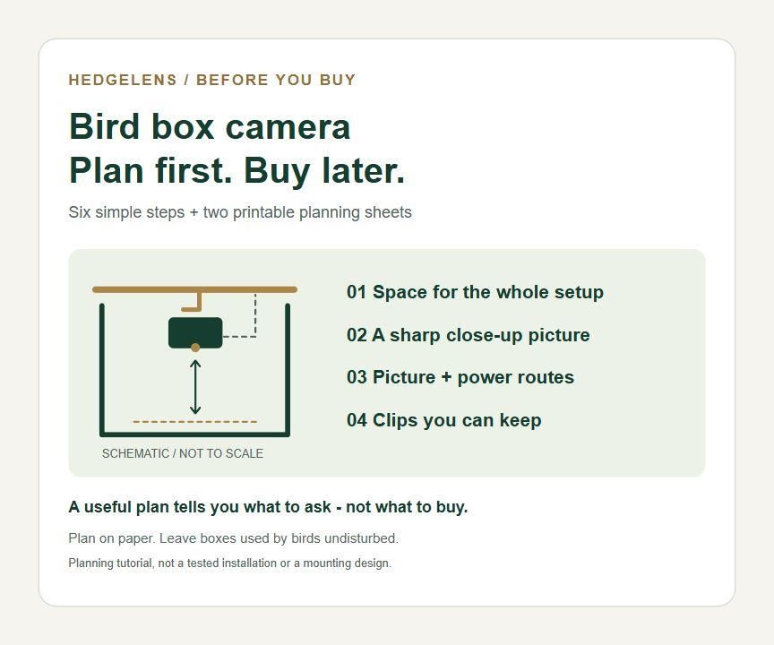 Plan a Bird Box Camera Setup Before You Buy Anything