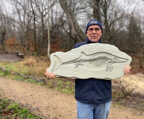  Ichthyosaur Fossil