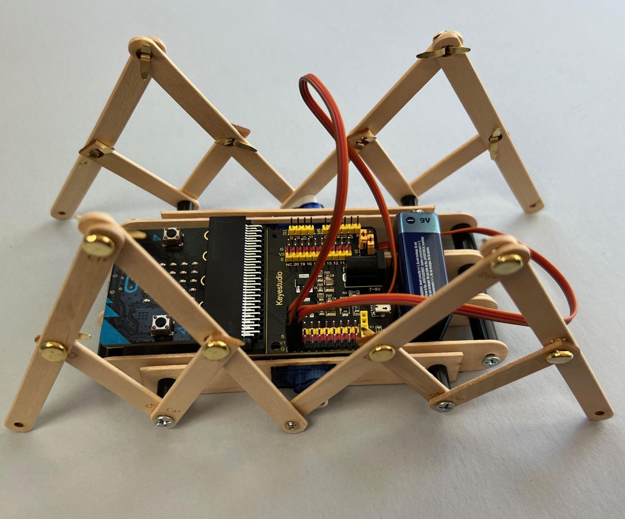 Microbit Bug Robots: Popsicle StickBugs