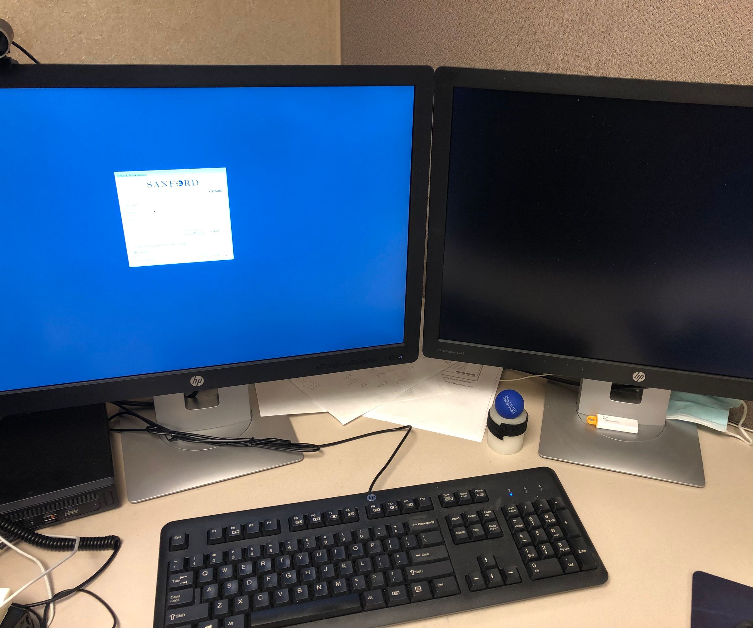 Dual Screen Monitors Setup