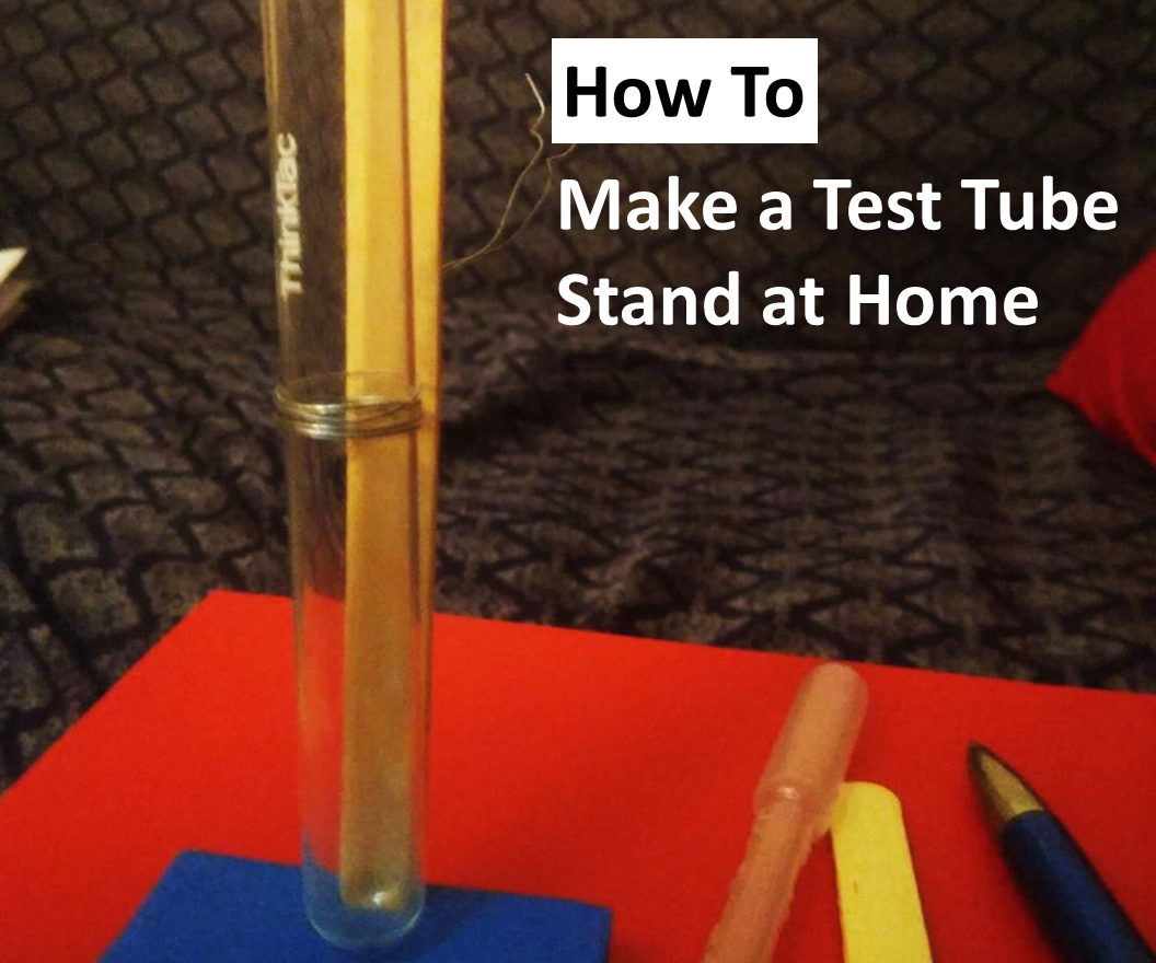 Fun + Educational: How to Make a Test Tube Stand at Home?
