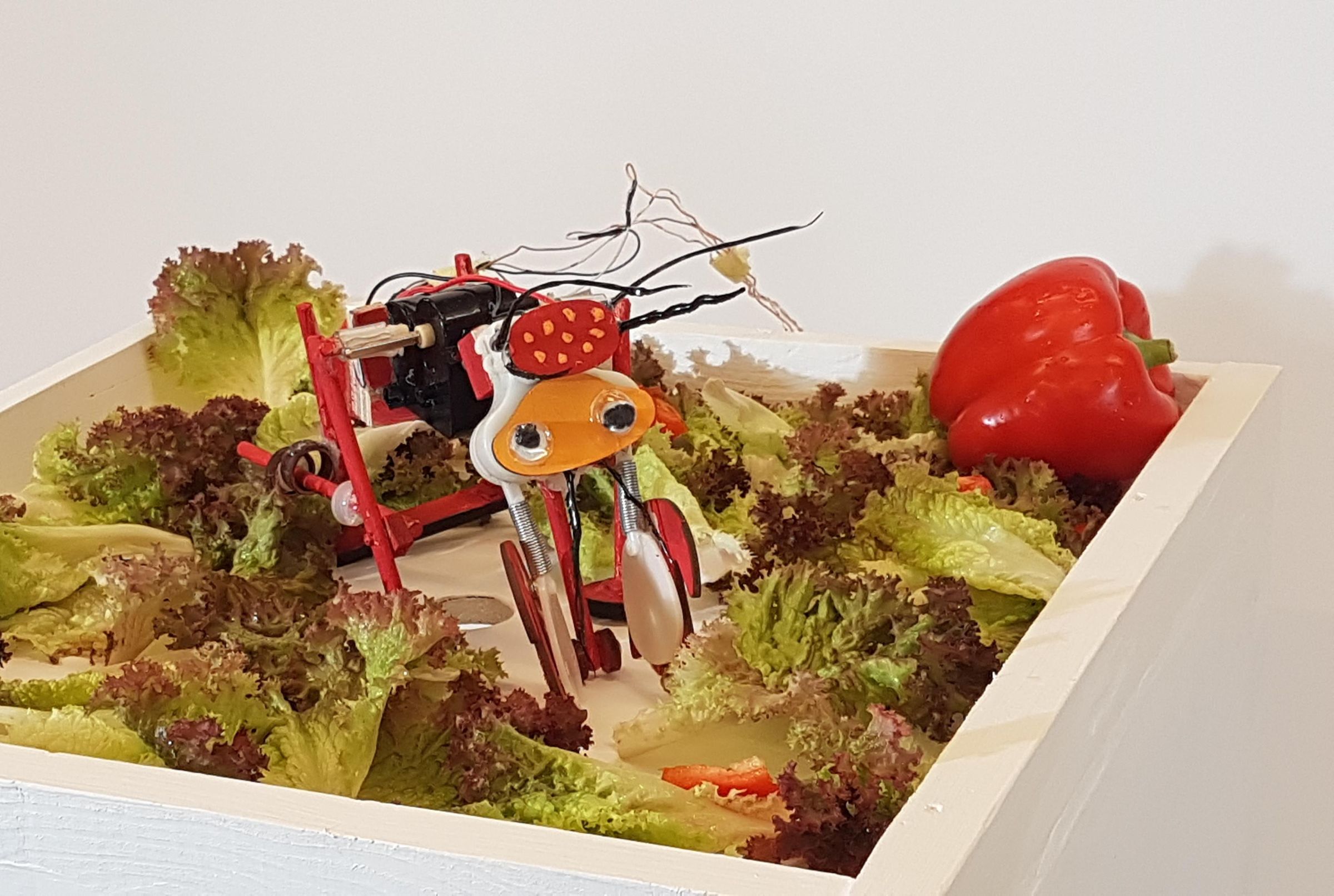 salat blender ant