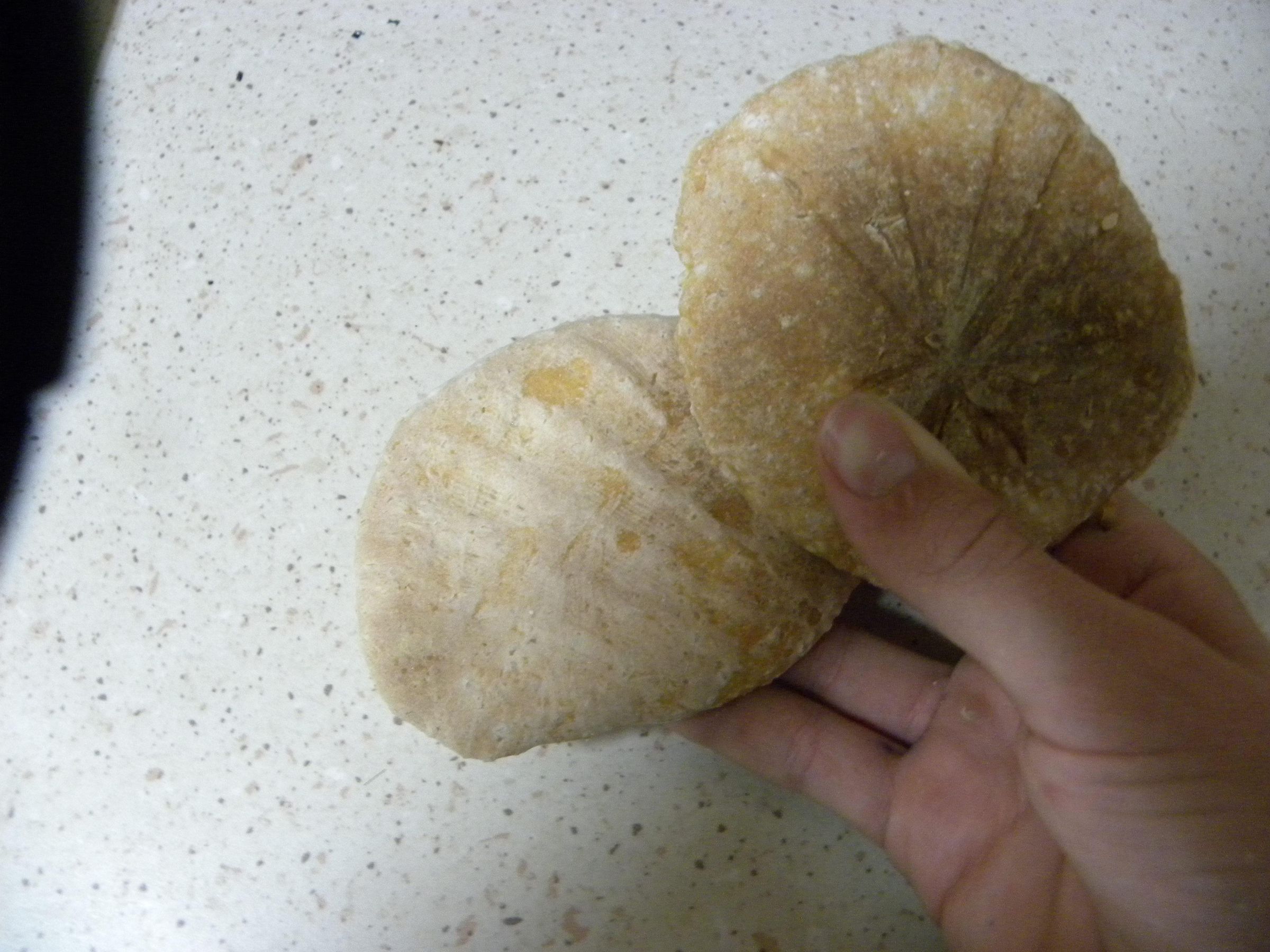 Diy "million-year-old" Fossils