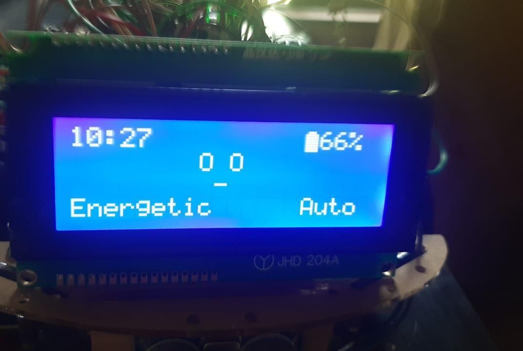 RoboPet