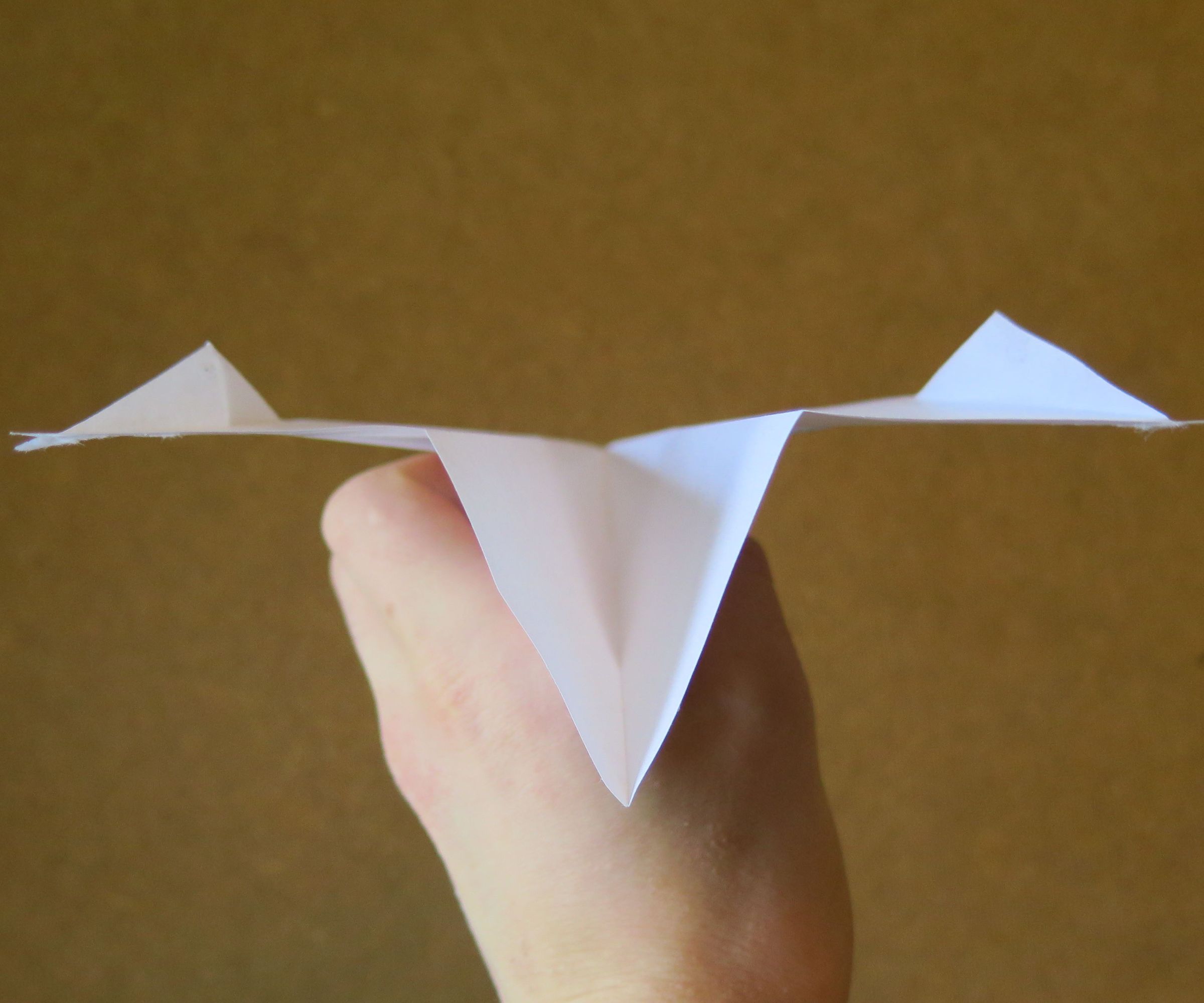 Contest Winning Paper Airplane