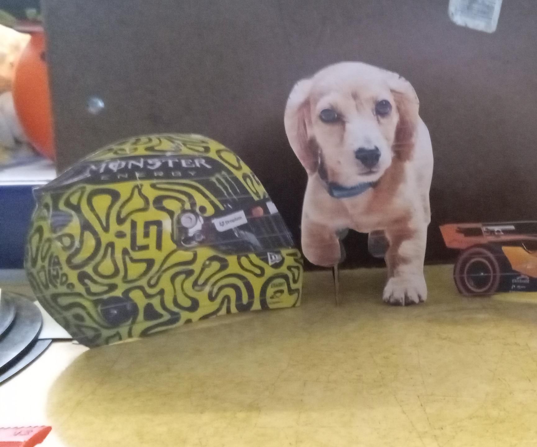 DIY Cardboard Cutouts