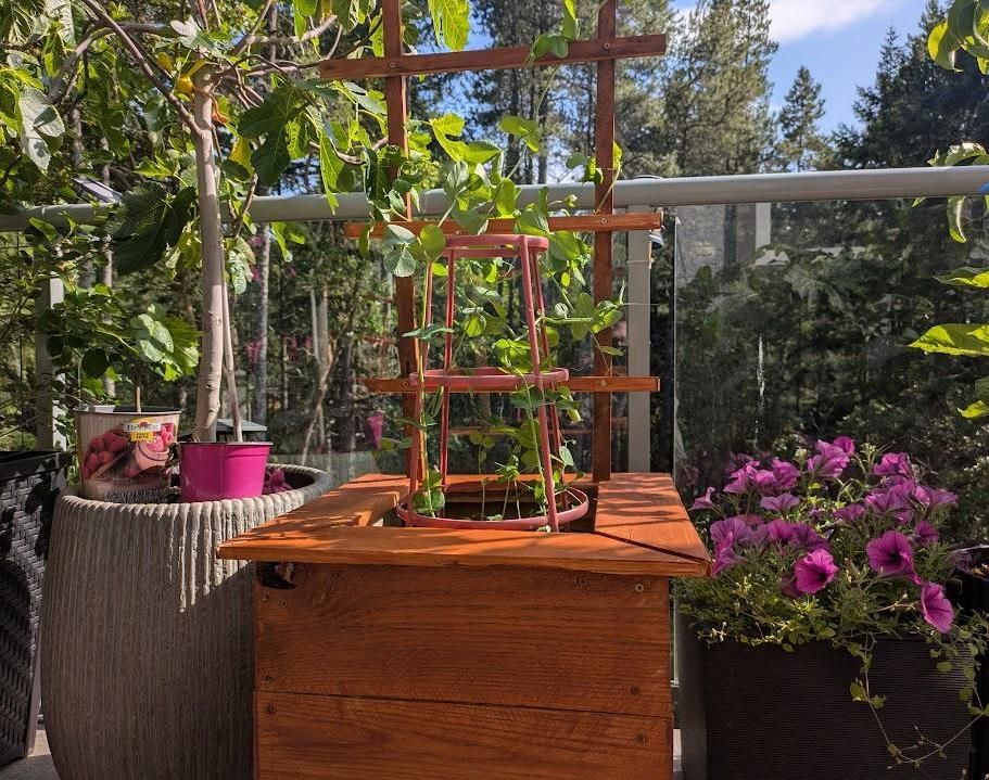 How to Make a Garden Box With a Trellis Out of Pallet Wood