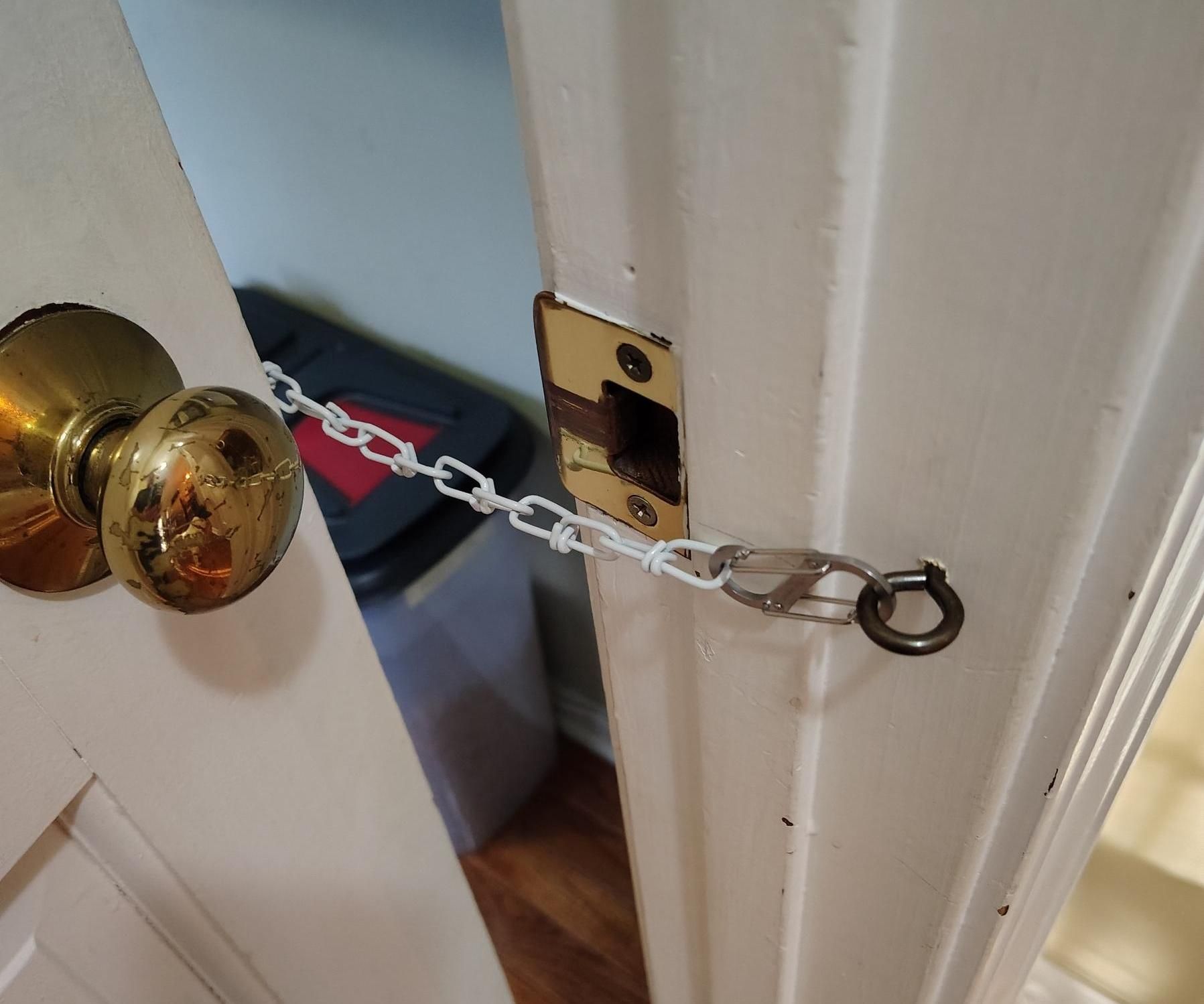 Cat Door Latch