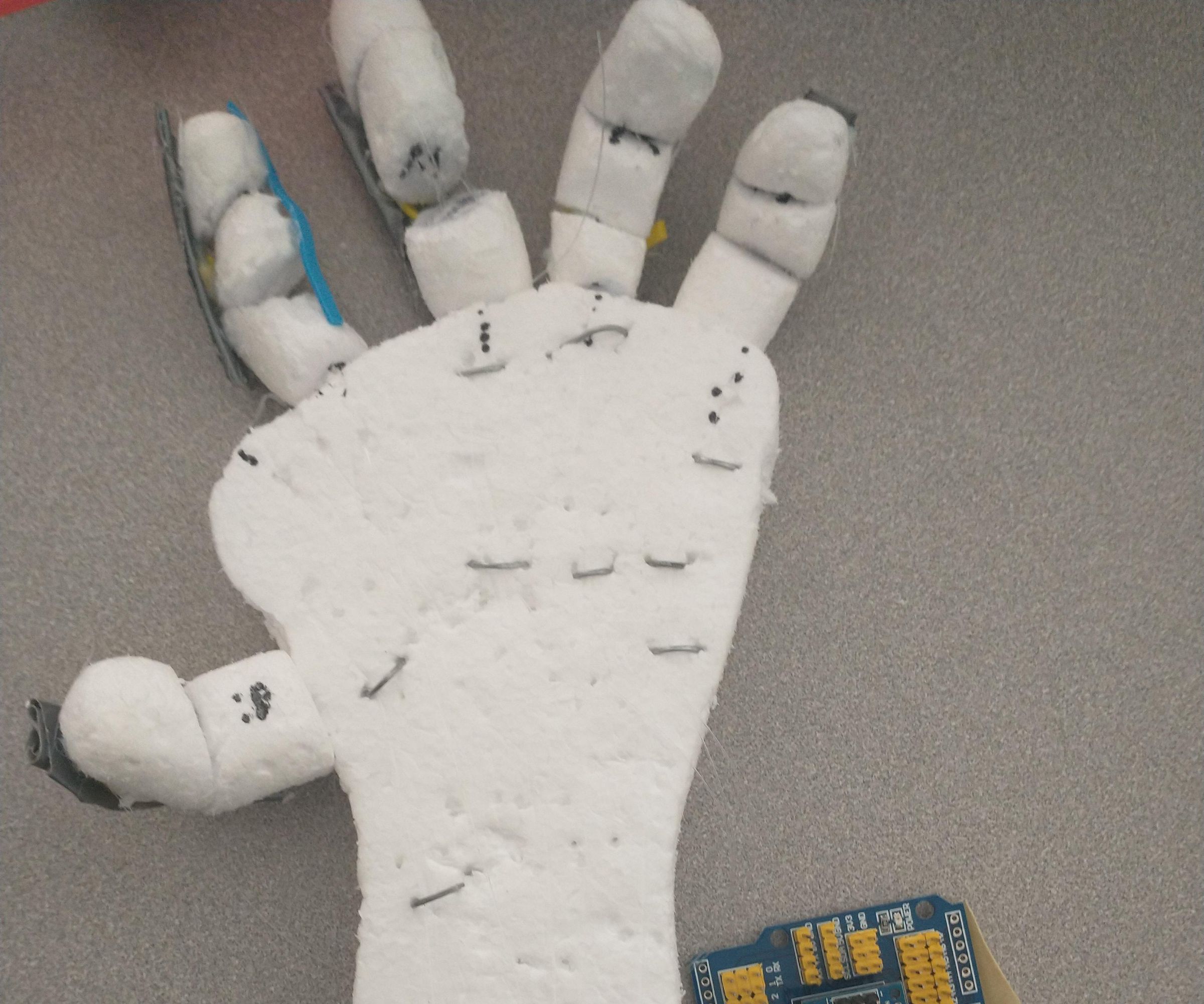 Robotic Hand - Madelyn Agnew