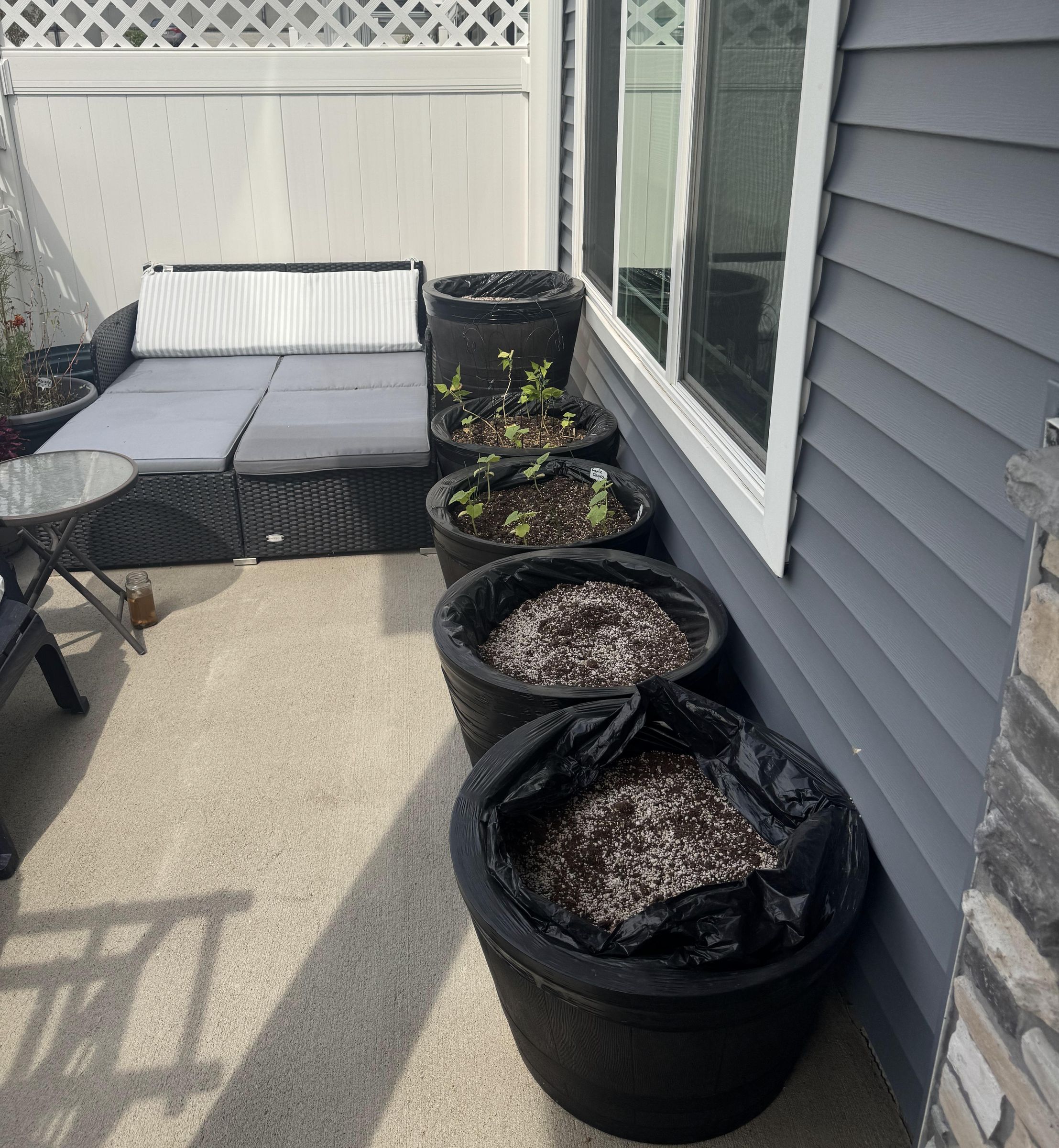 DIY Outdoor Kratky Wicking Semi Hydroponic Low Maintenance Container Planter
