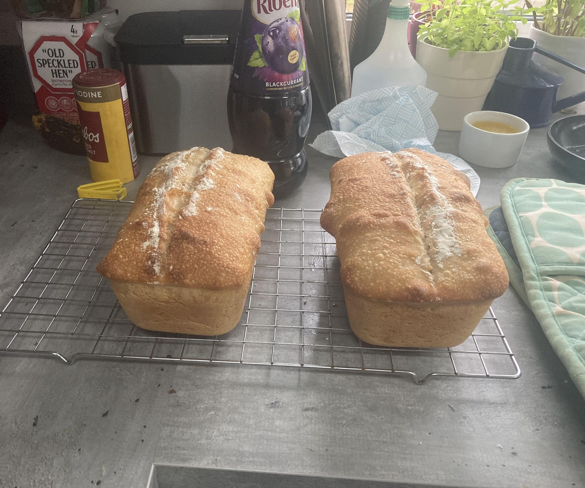 Sourdough Bread