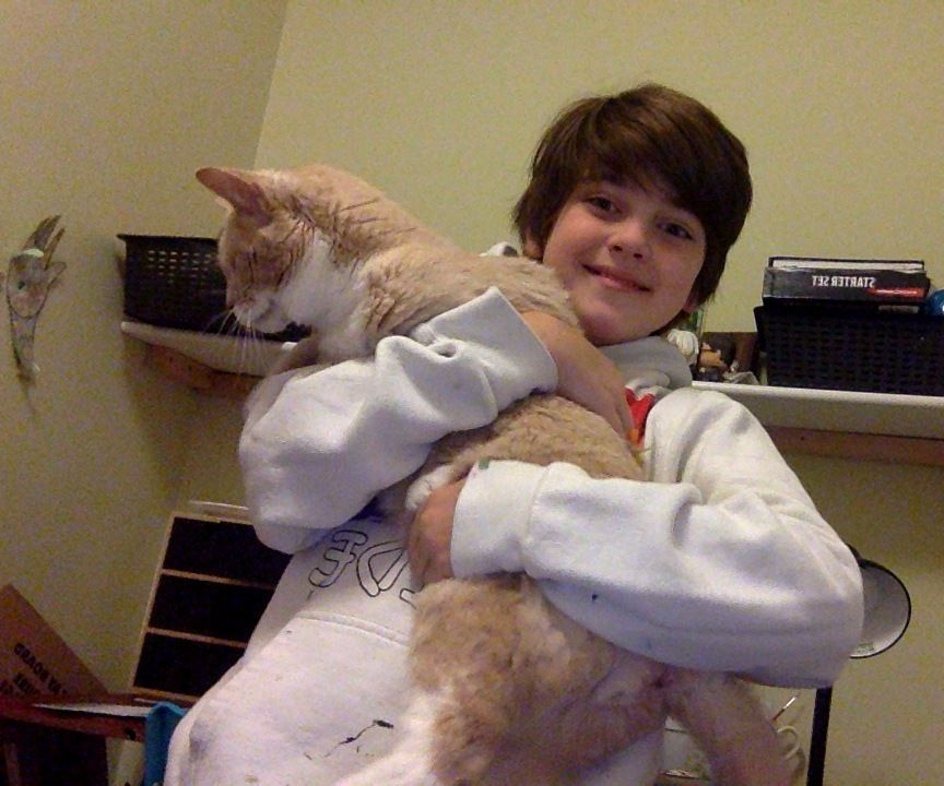 CAT CARRIER 