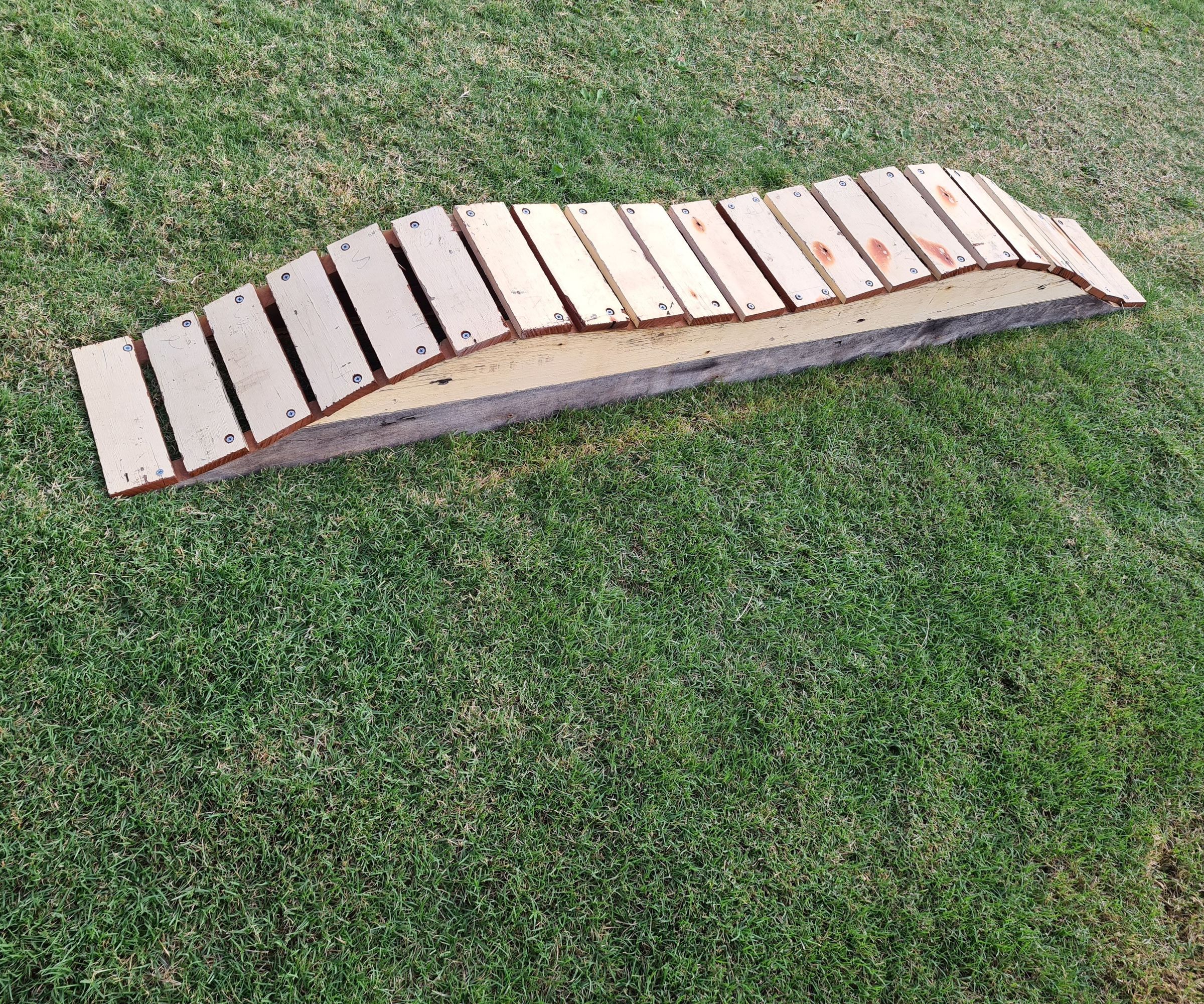 Double Hump Bike Ramp