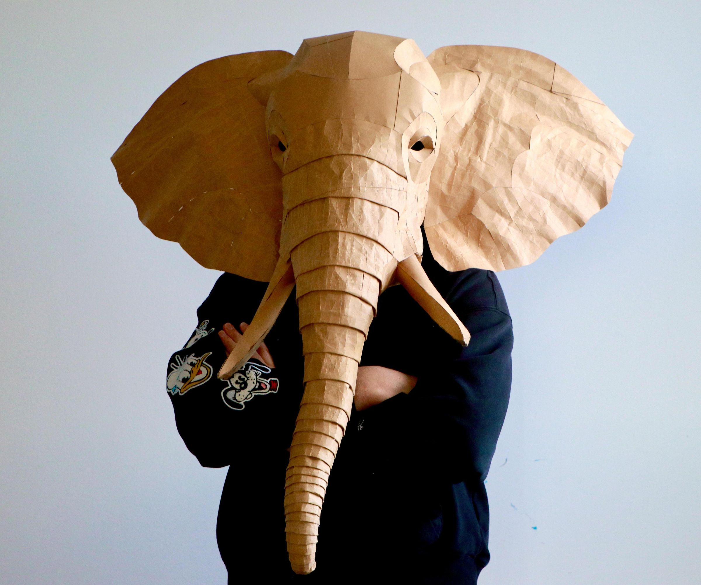 Easy DIY Elephant Mask and Wall Head – Just Crumple and Glue!