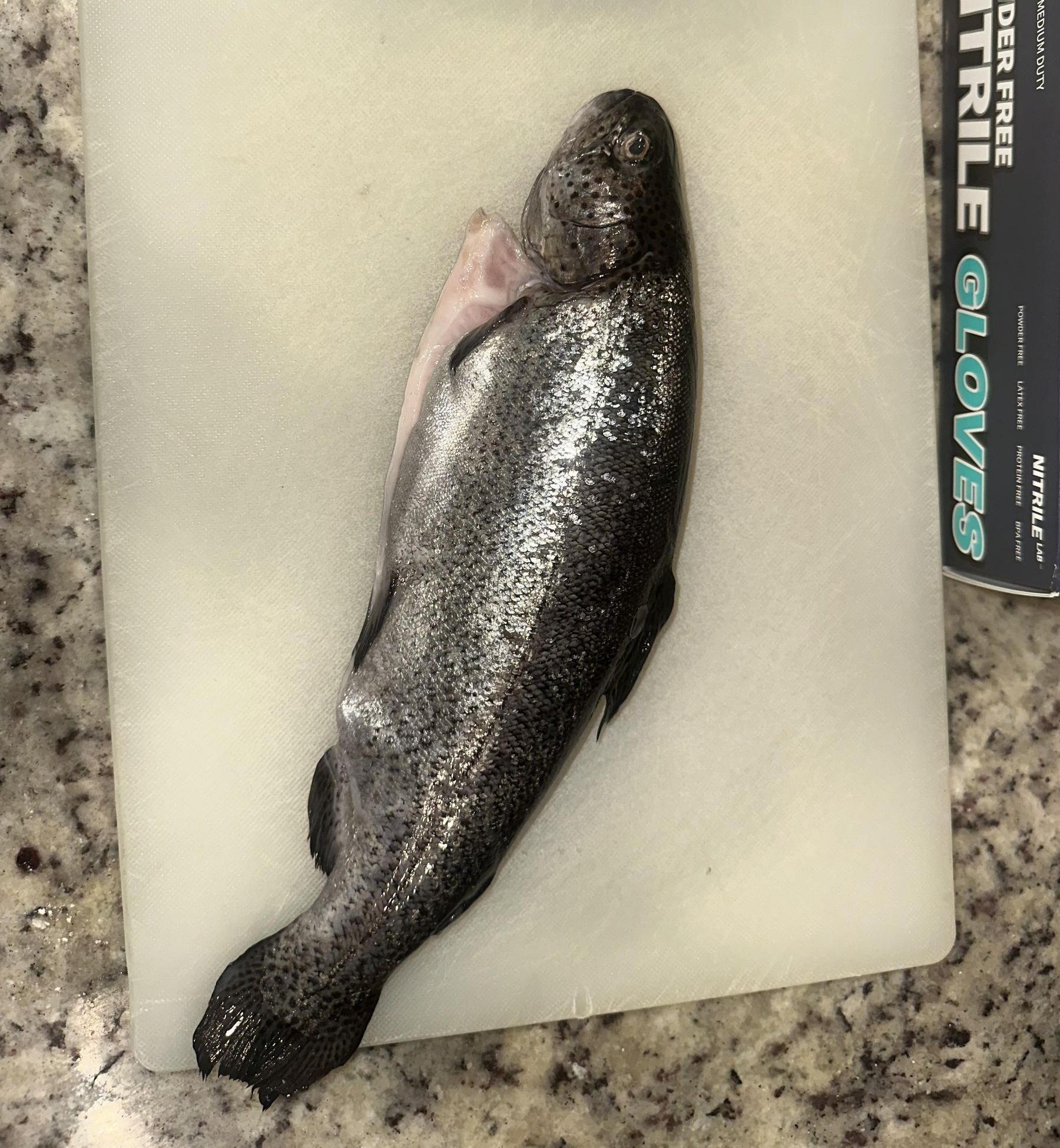 How to Clean and Fillet a Fish
