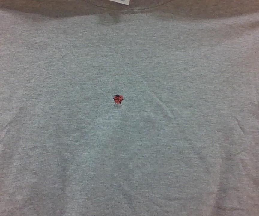Embroidery