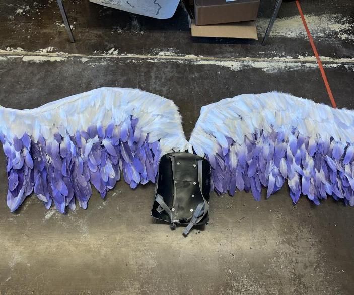 Mechanical Wings