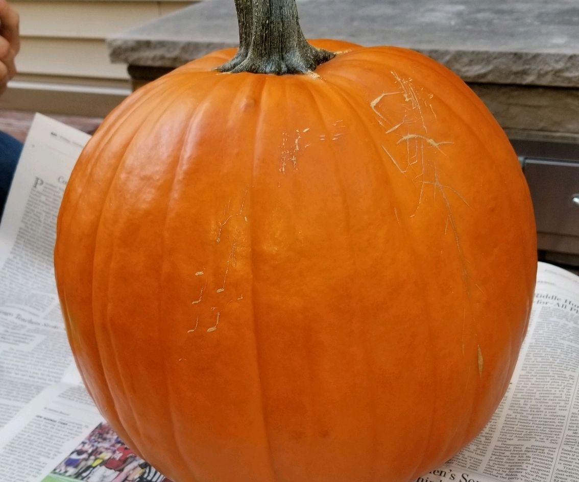 The Pumpkin Head Prop