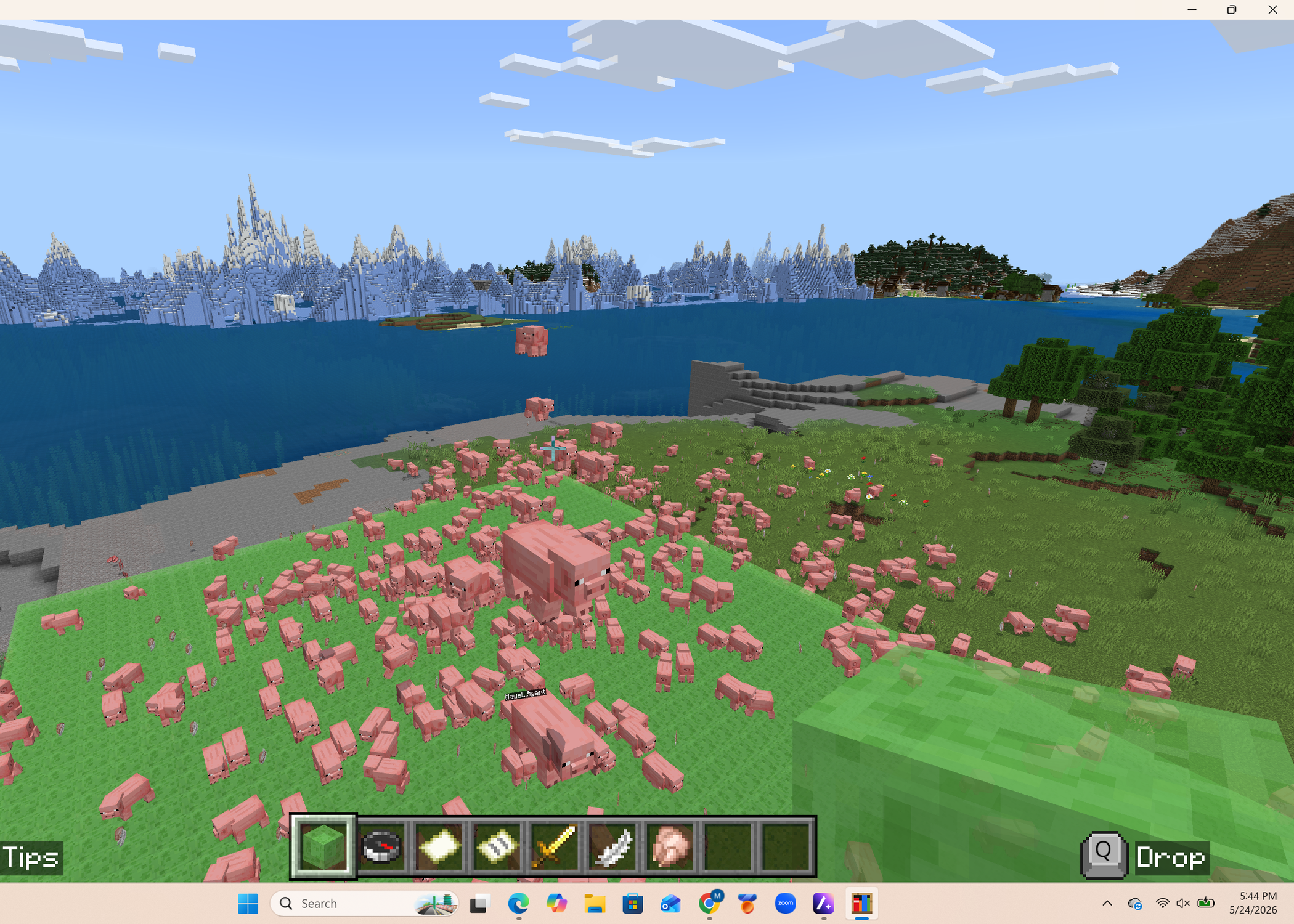 1000 Pigs on a Trampoline