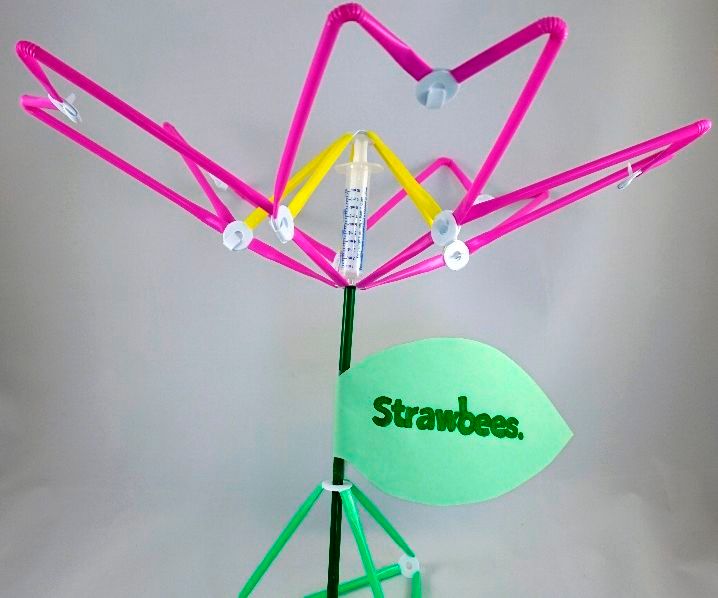 Strawbees Hydraulic Flower