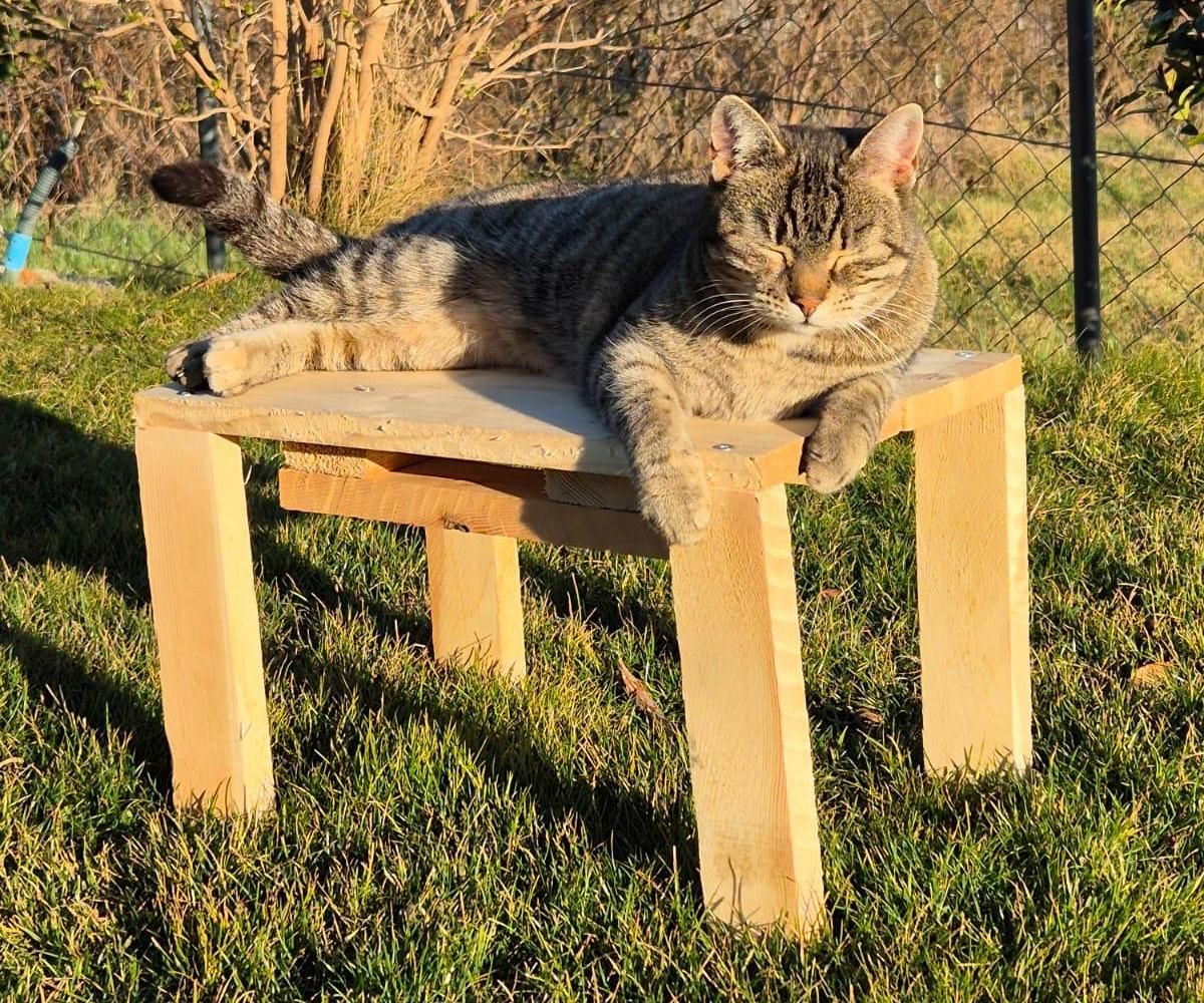Stool