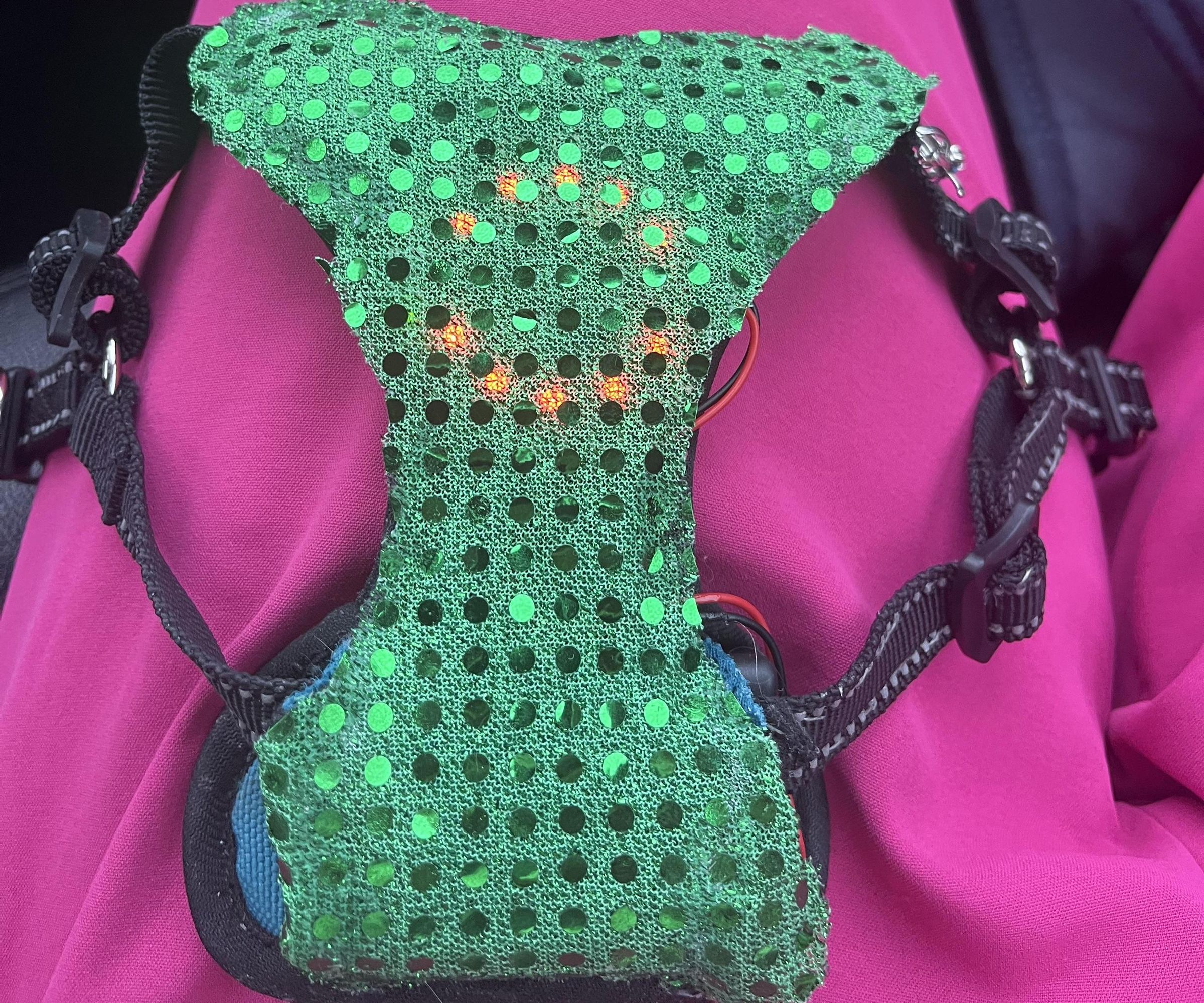 Light Up Dog Collar