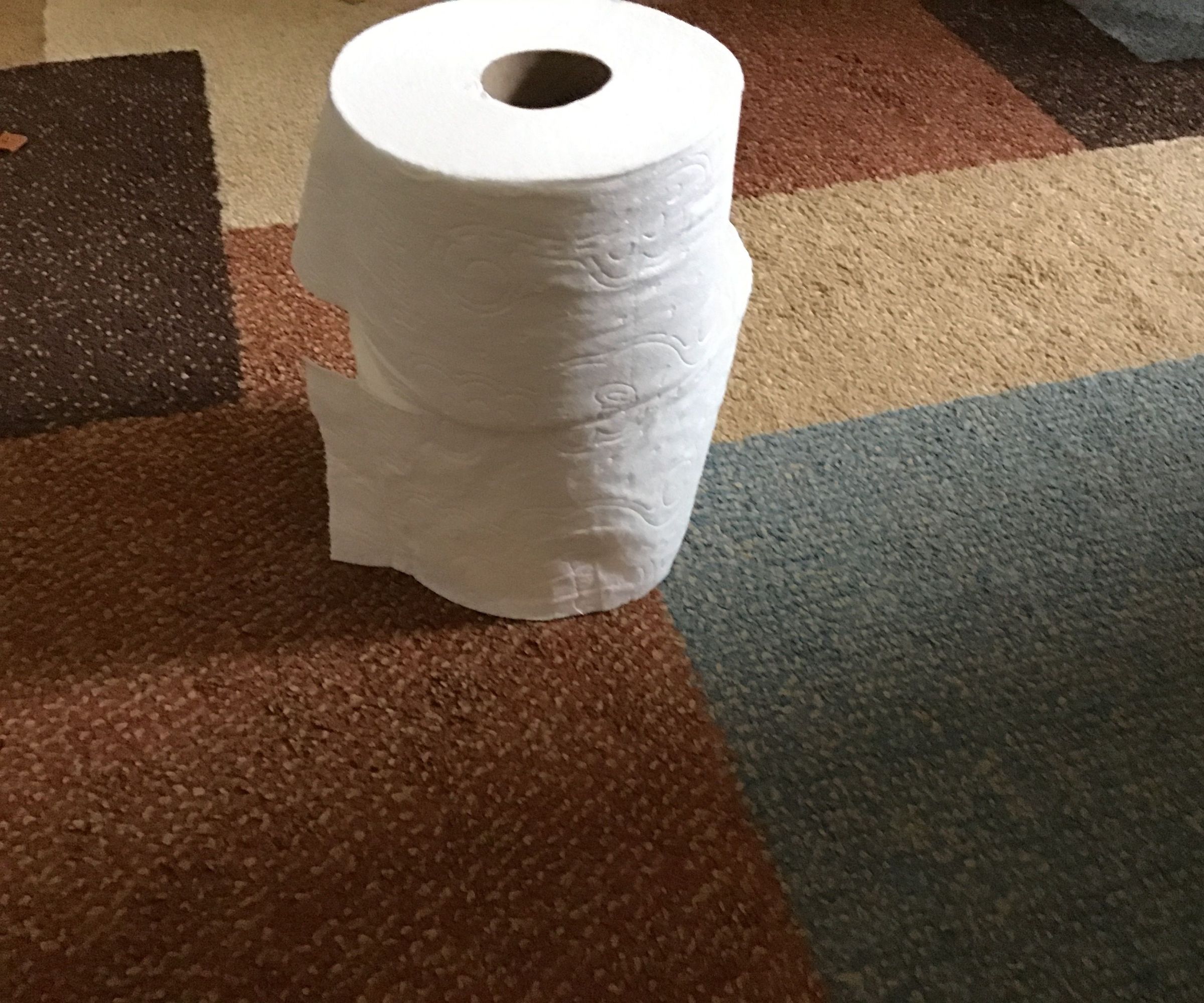 Toilet Paper Towers