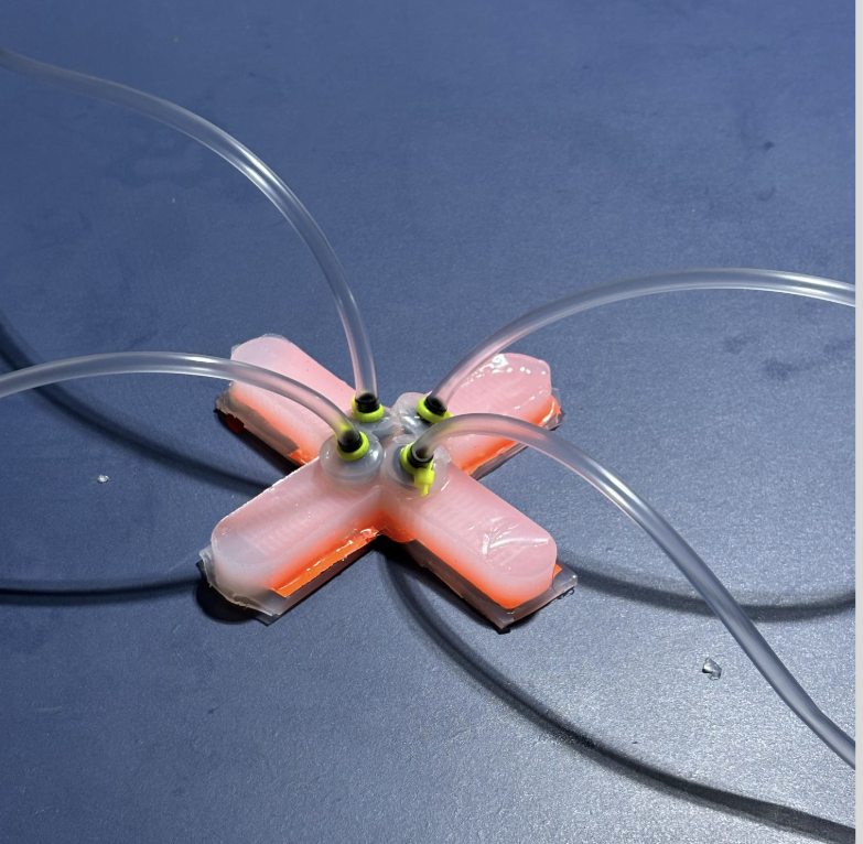 PiQSaR: Pnuematic Bio-Inspired Soft Quadrupedal Robot for Delicate Object Handling