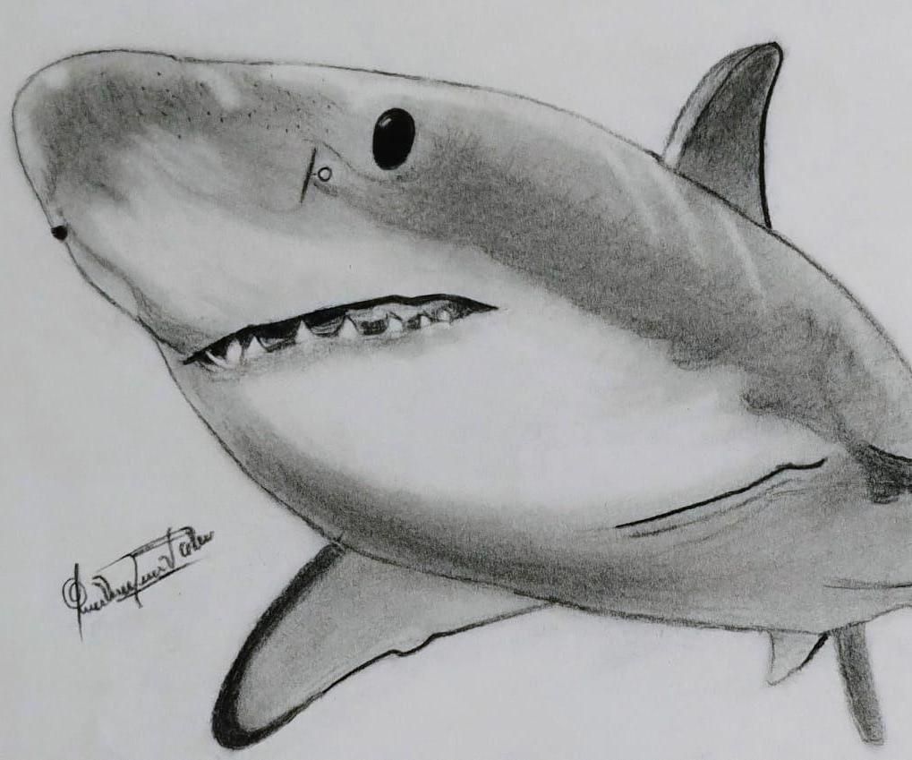Heart of the Ocean: Art That Inspires Protection!