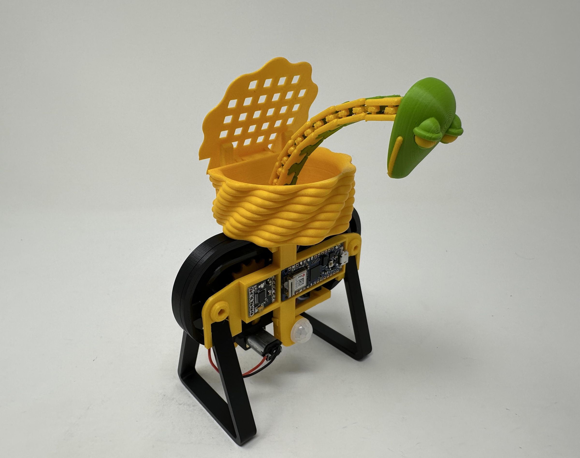 Snake in a Basket