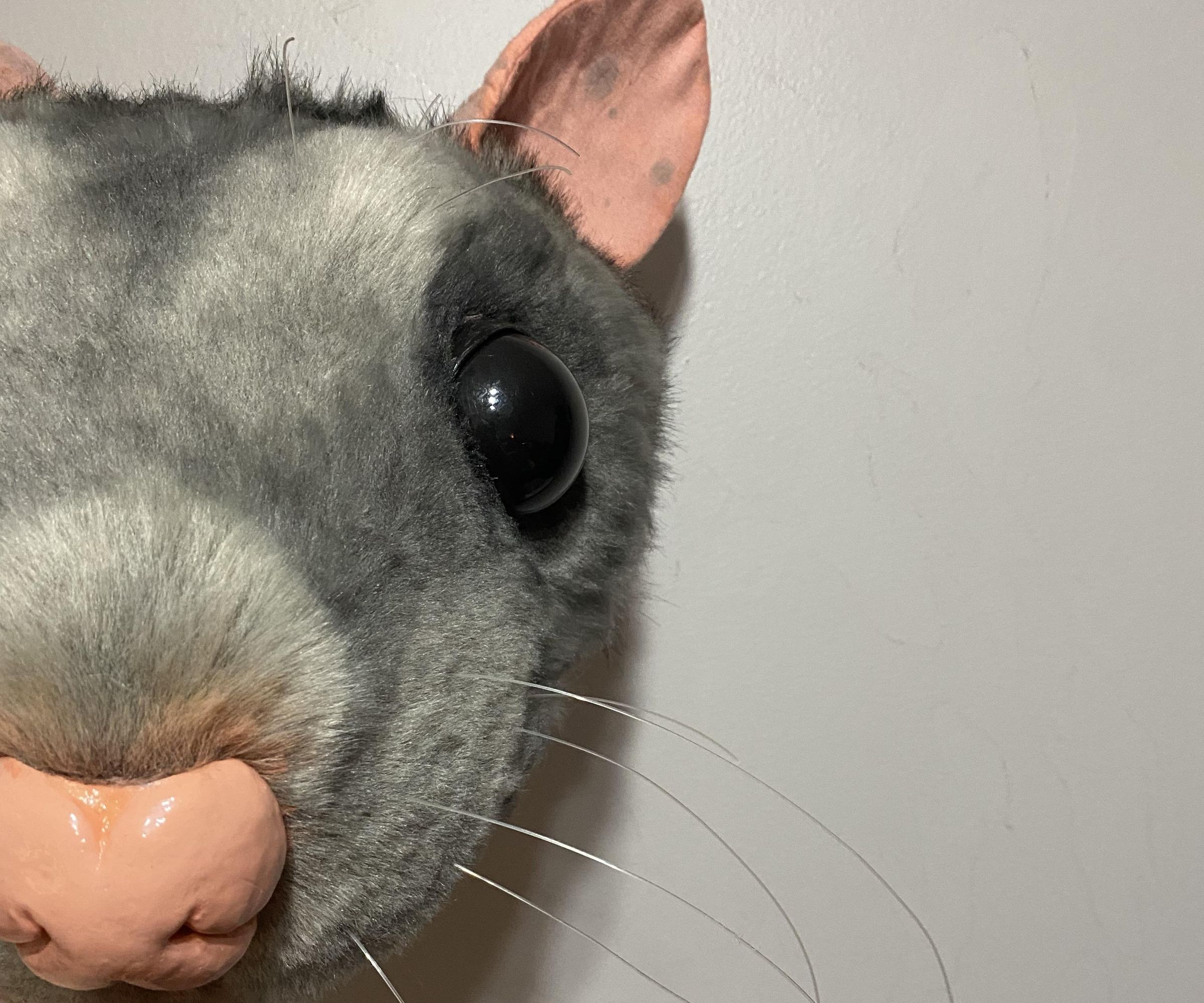 Rat Costume