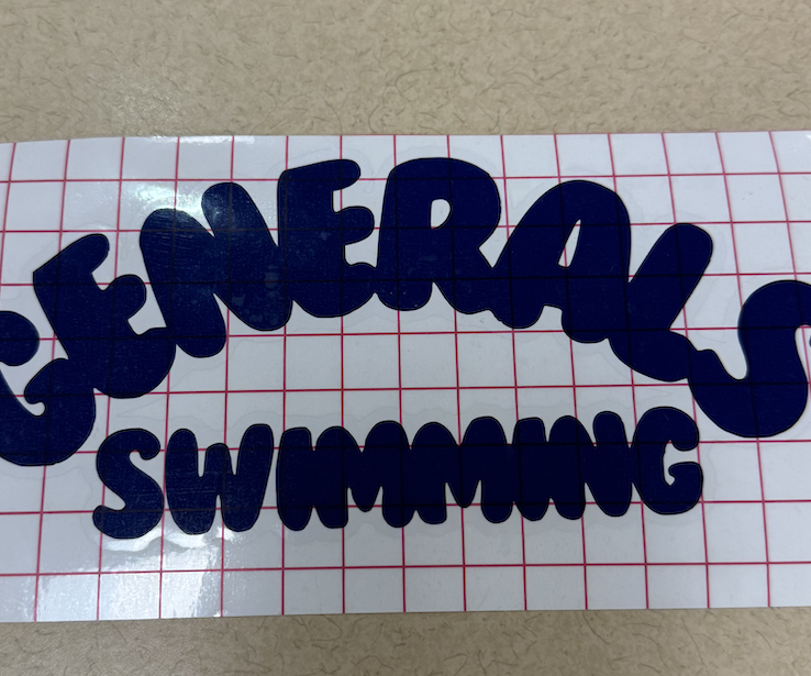 Vinyl Cut Stickers