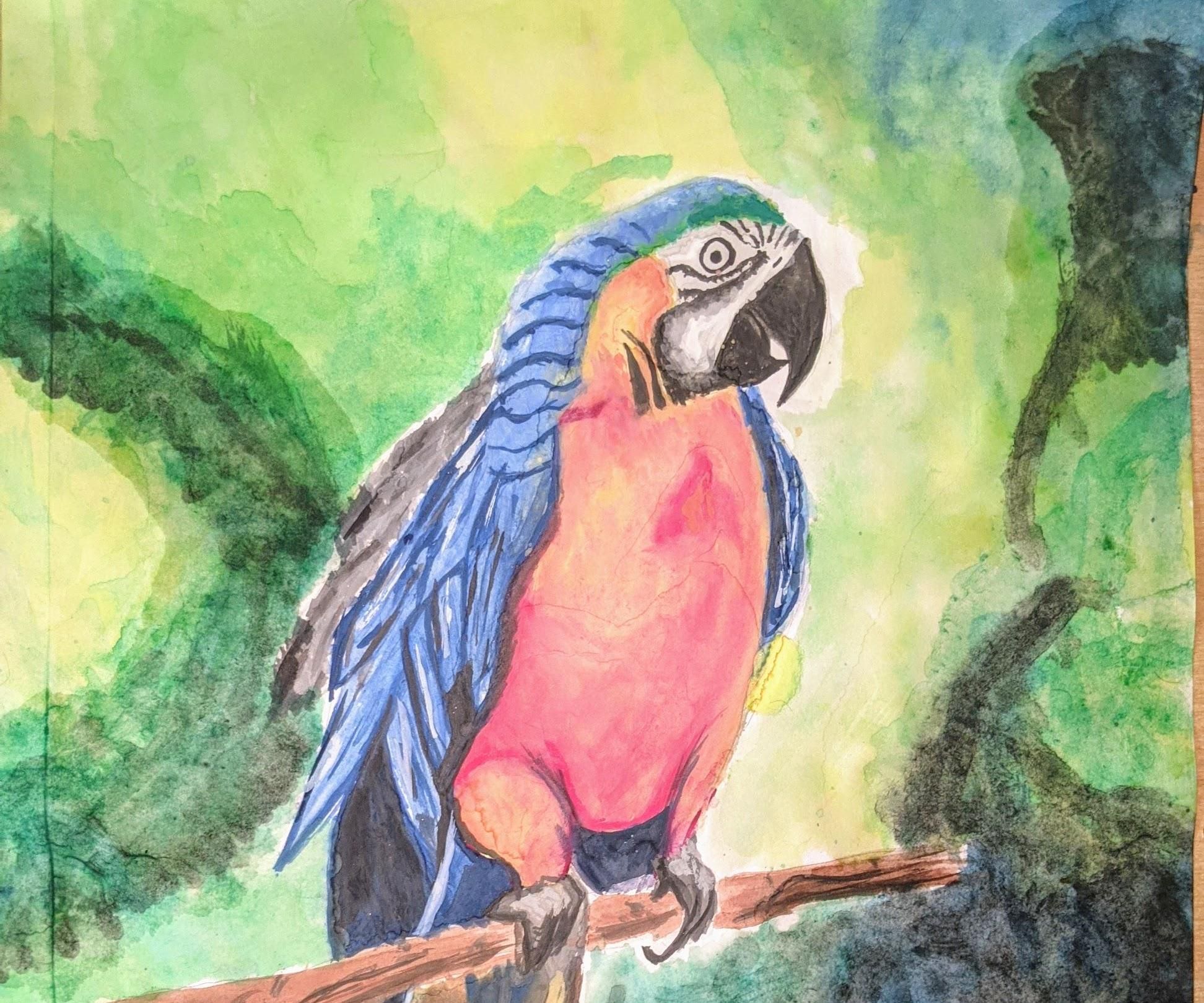 Realistic Watercolor Macaw